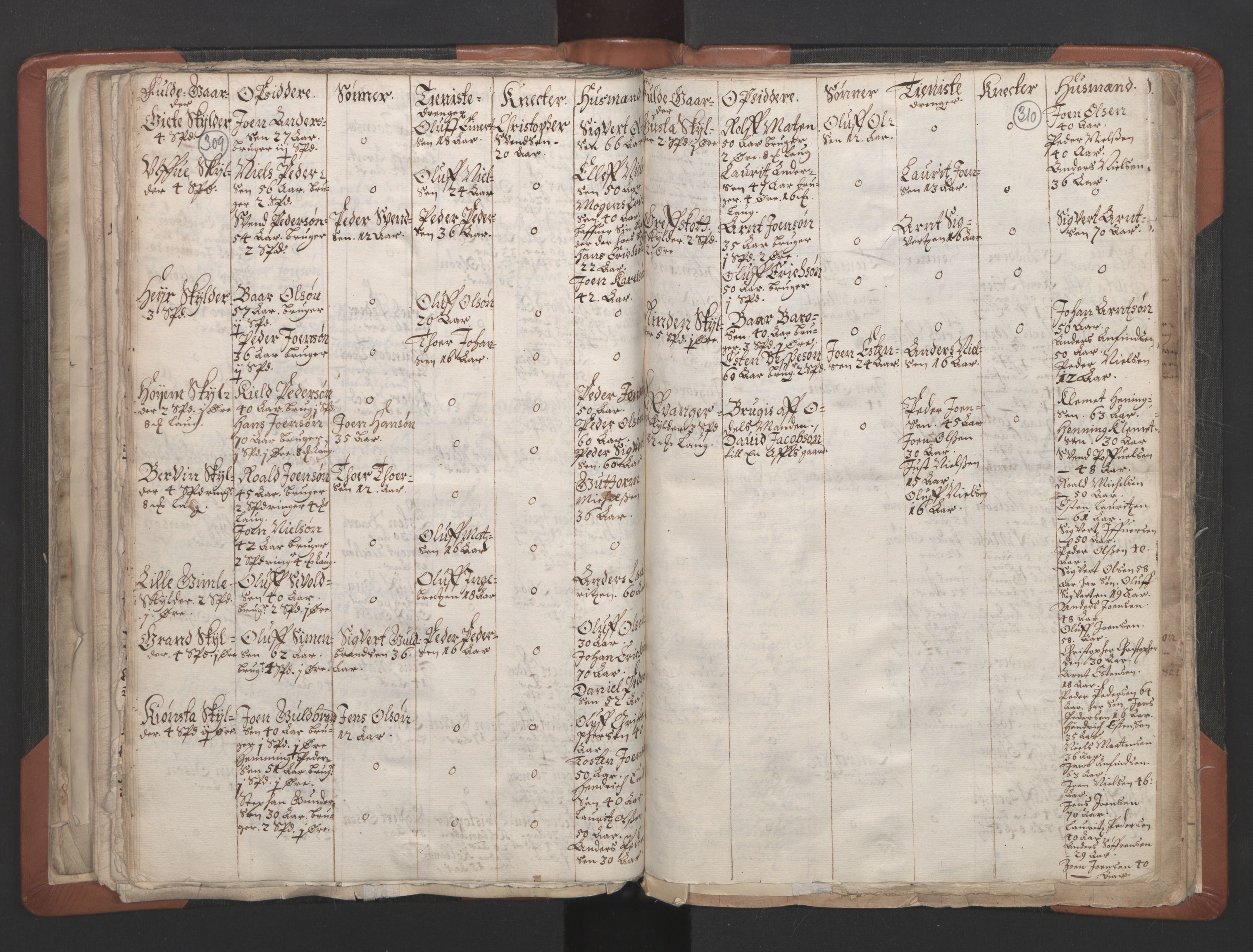 RA, Vicar's Census 1664-1666, no. 32: Innherad deanery, 1664-1666, p. 309-310