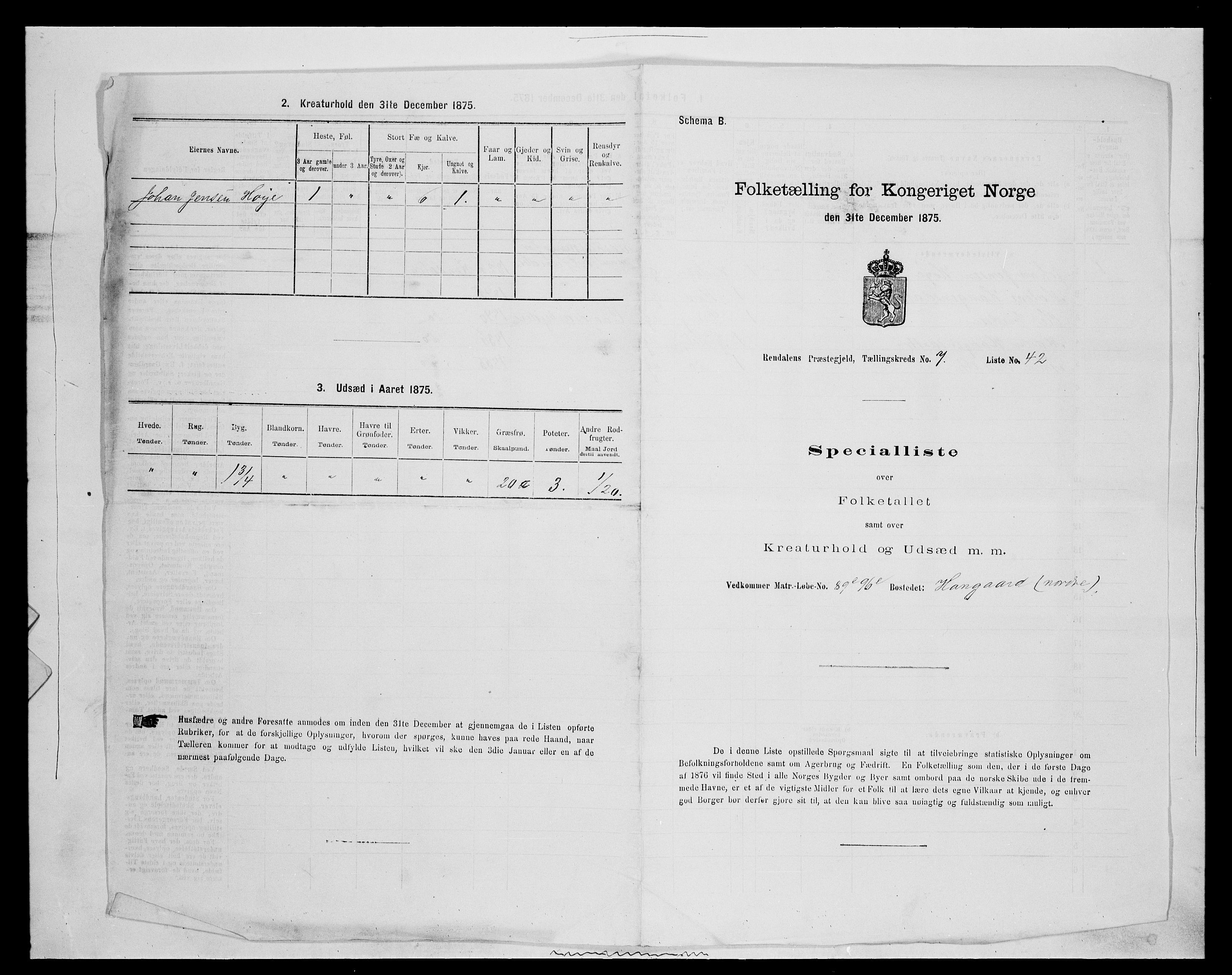 SAH, 1875 census for 0432P Rendalen, 1875, p. 699