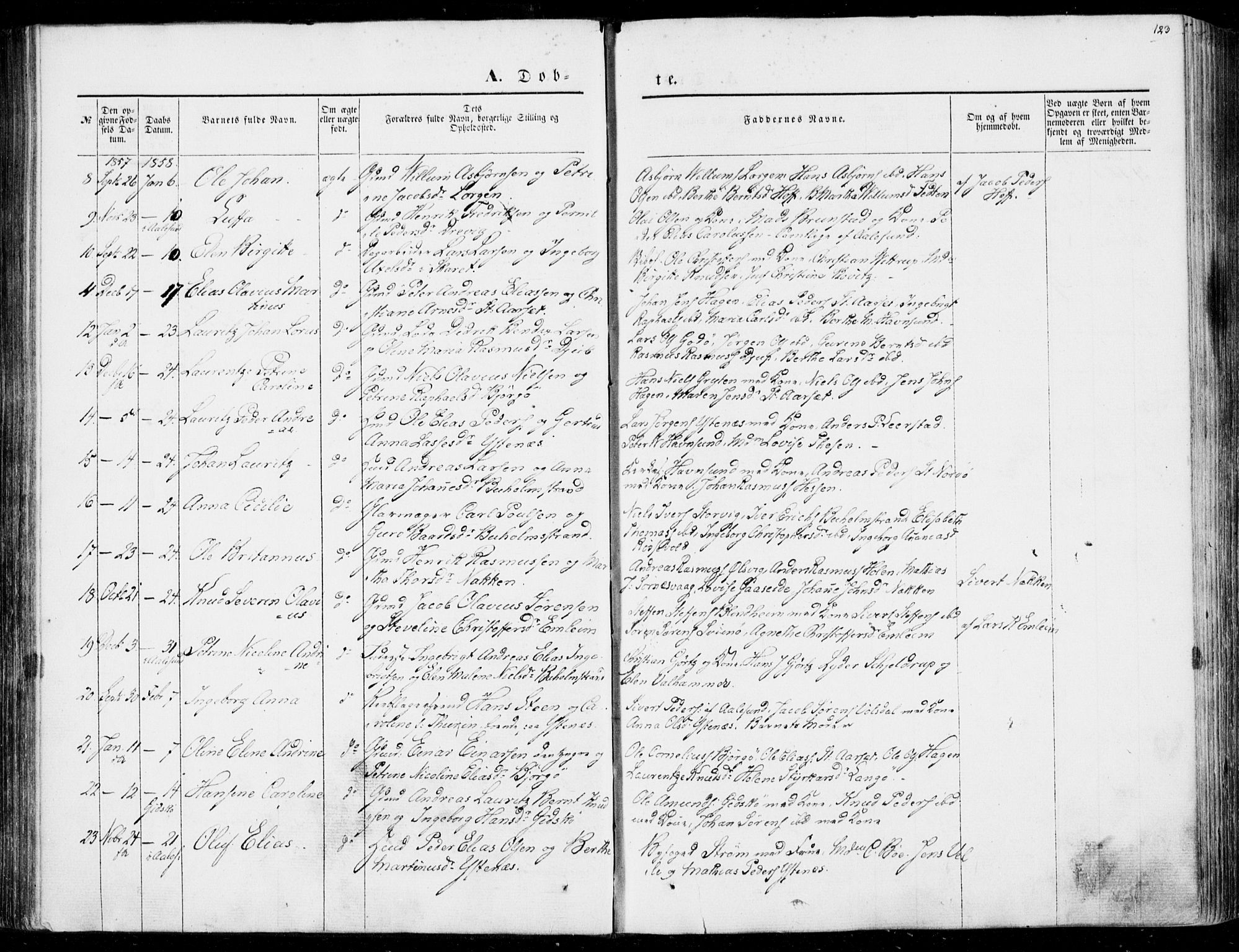 Ministerialprotokoller, klokkerbøker og fødselsregistre - Møre og Romsdal, AV/SAT-A-1454/528/L0397: Parish register (official) no. 528A08, 1848-1858, p. 123