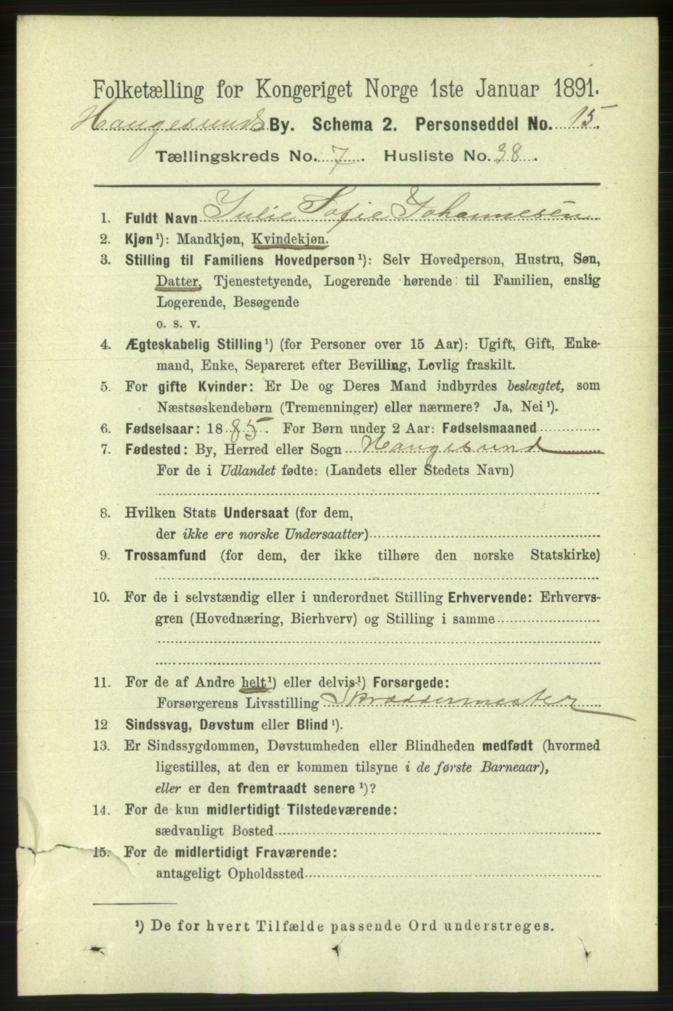 RA, 1891 census for 1106 Haugesund, 1891, p. 3524