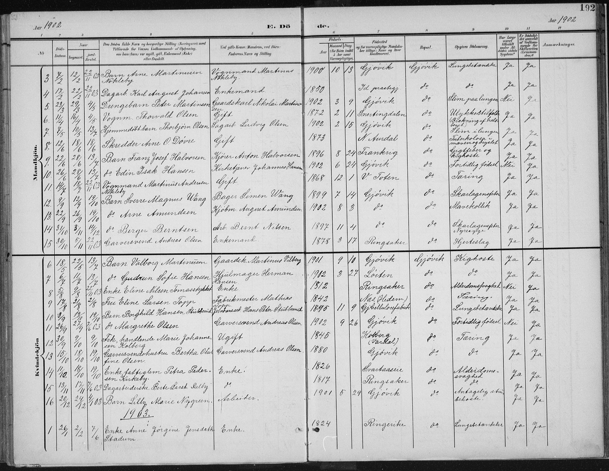 Vardal prestekontor, SAH/PREST-100/H/Ha/Haa/L0013: Parish register (official) no. 13, 1901-1911, p. 192