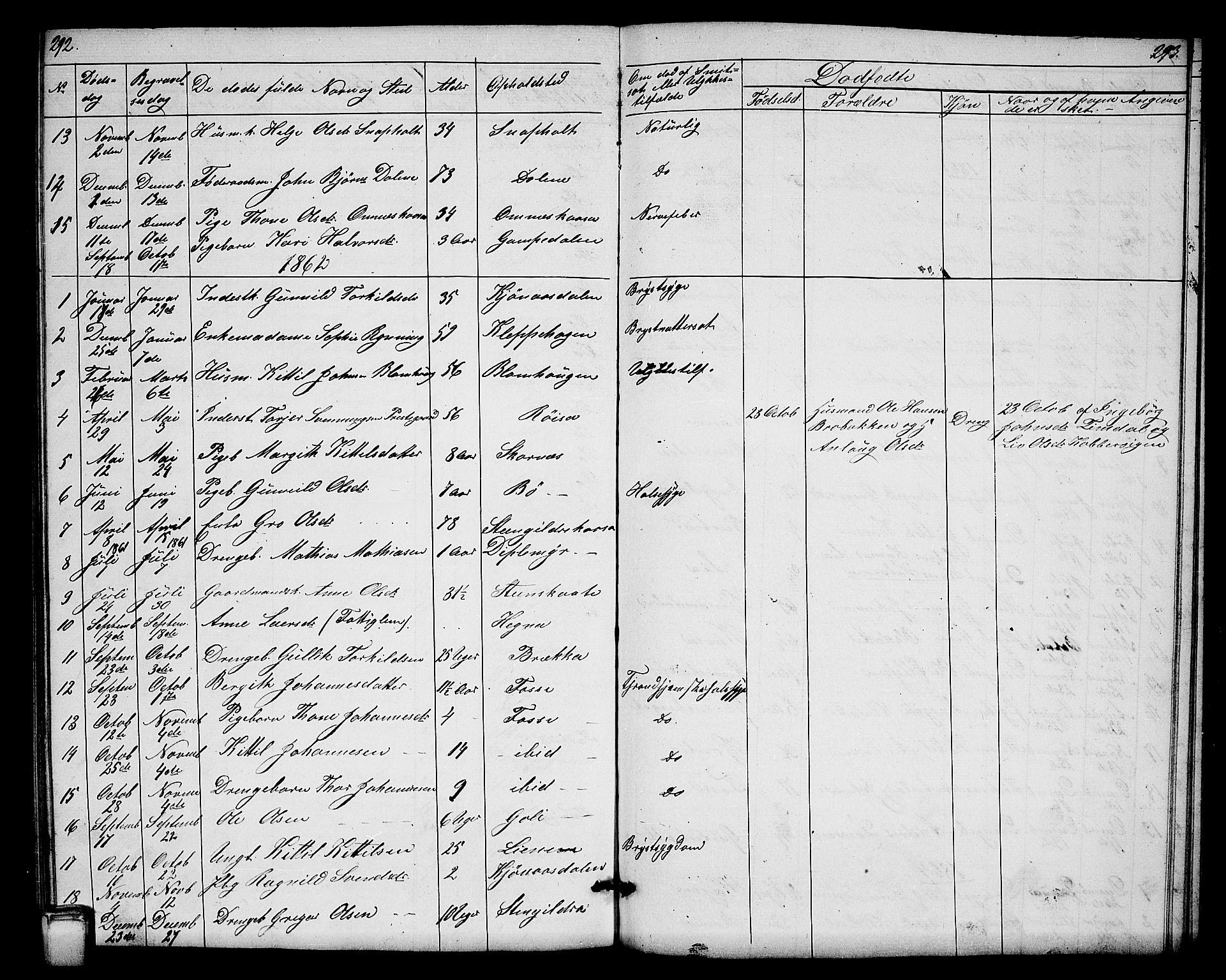 Hjartdal kirkebøker, SAKO/A-270/G/Gb/L0002: Parish register (copy) no. II 2, 1854-1884, p. 292-293