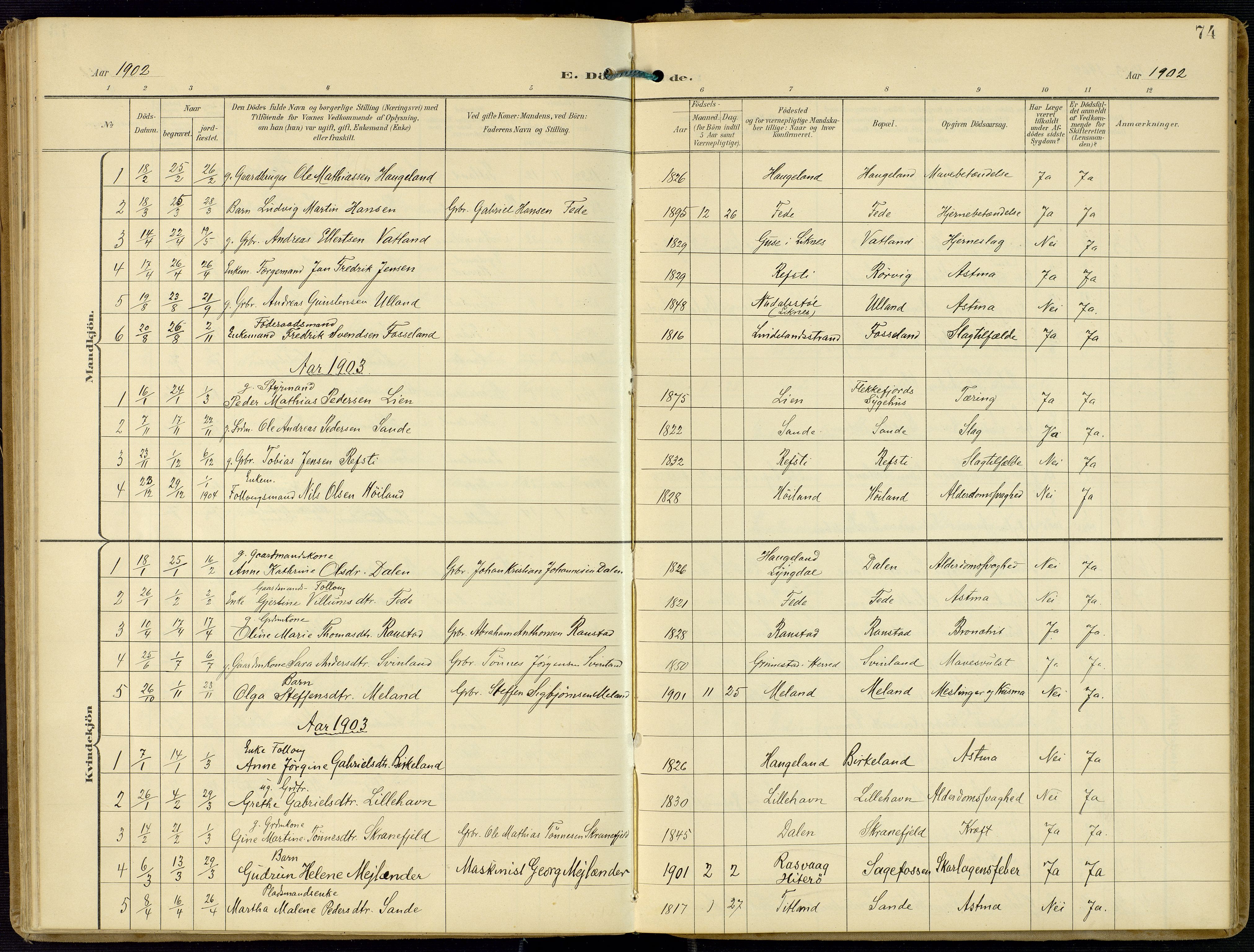 Kvinesdal sokneprestkontor, SAK/1111-0026/F/Fa/Faa/L0005: Parish register (official) no. A 5, 1898-1915, p. 74