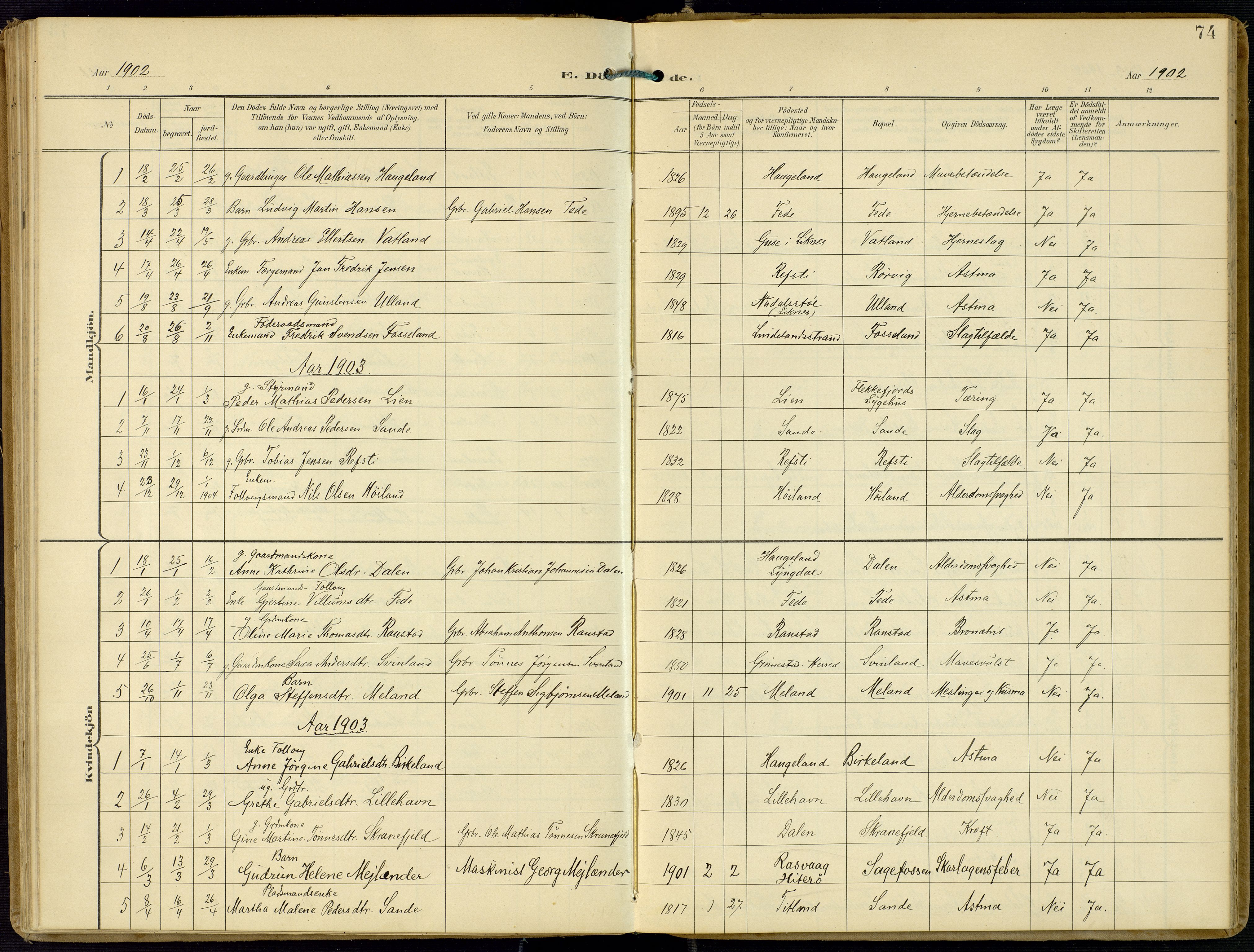 Kvinesdal sokneprestkontor, AV/SAK-1111-0026/F/Fa/Faa/L0005: Parish register (official) no. A 5, 1898-1915, p. 74