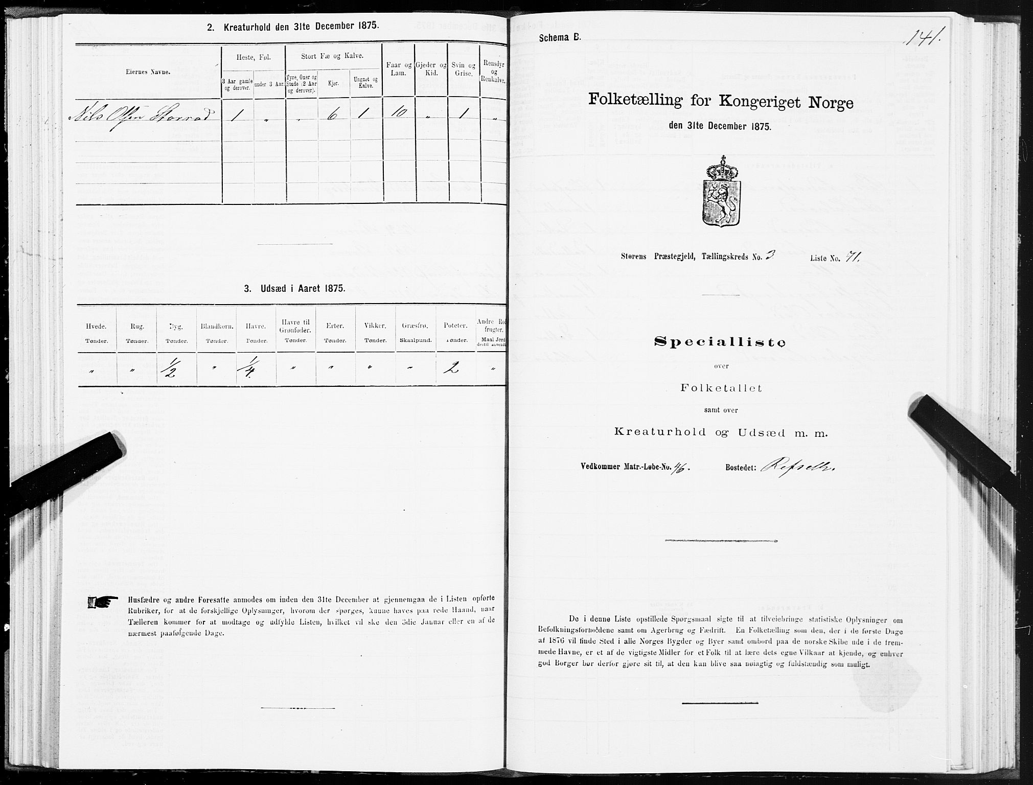 SAT, 1875 census for 1648P Støren, 1875, p. 2141