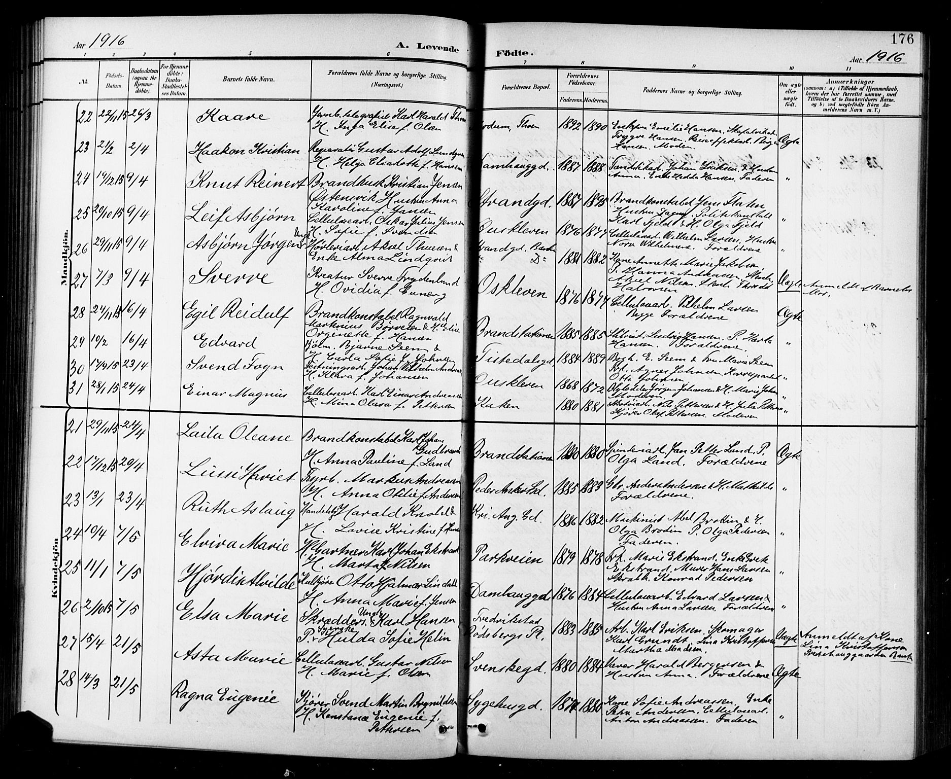 Halden prestekontor Kirkebøker, SAO/A-10909/G/Ga/L0010: Parish register (copy) no. 10, 1900-1923, p. 176