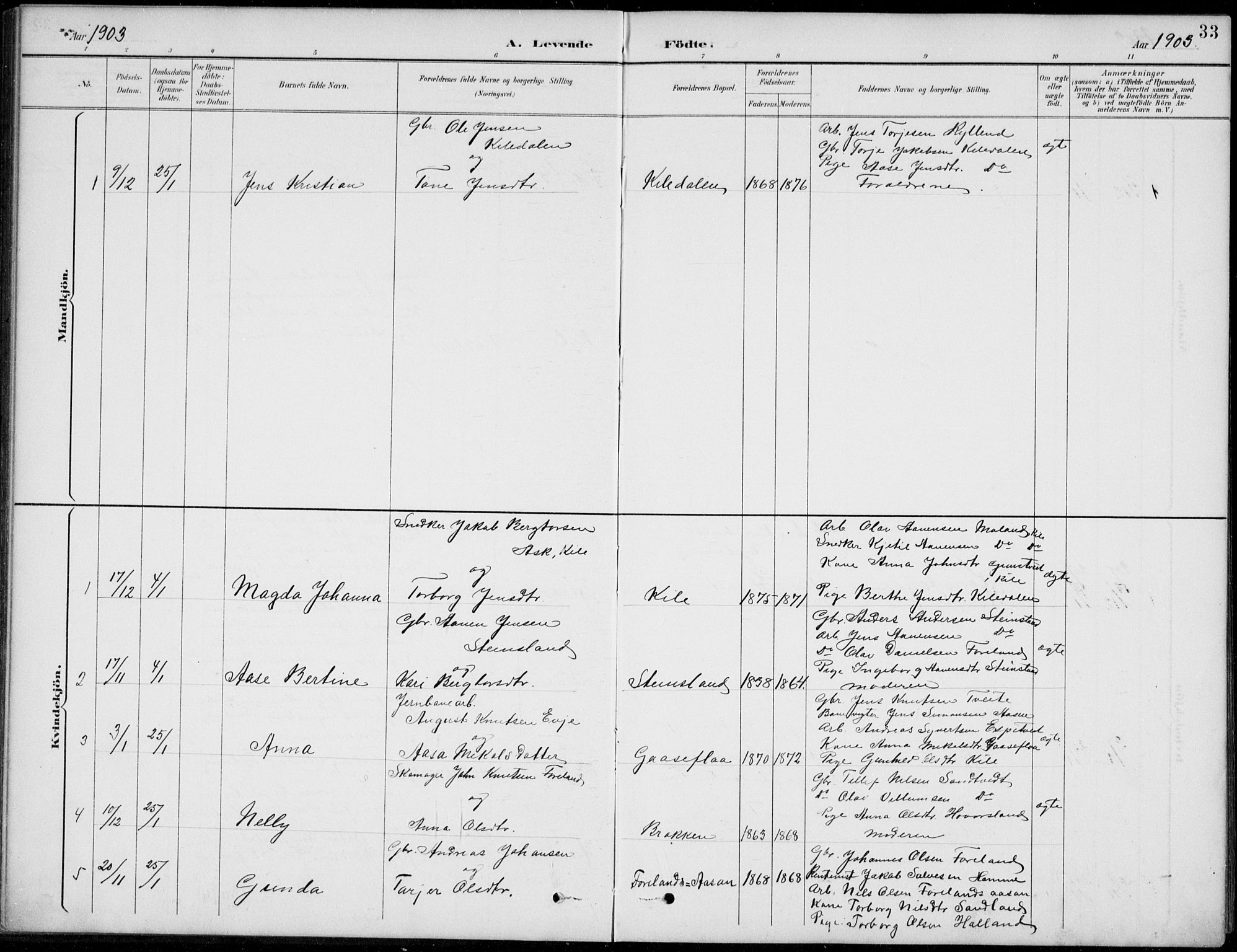 Vennesla sokneprestkontor, AV/SAK-1111-0045/Fb/Fba/L0003: Parish register (copy) no. B 3, 1890-1919, p. 33