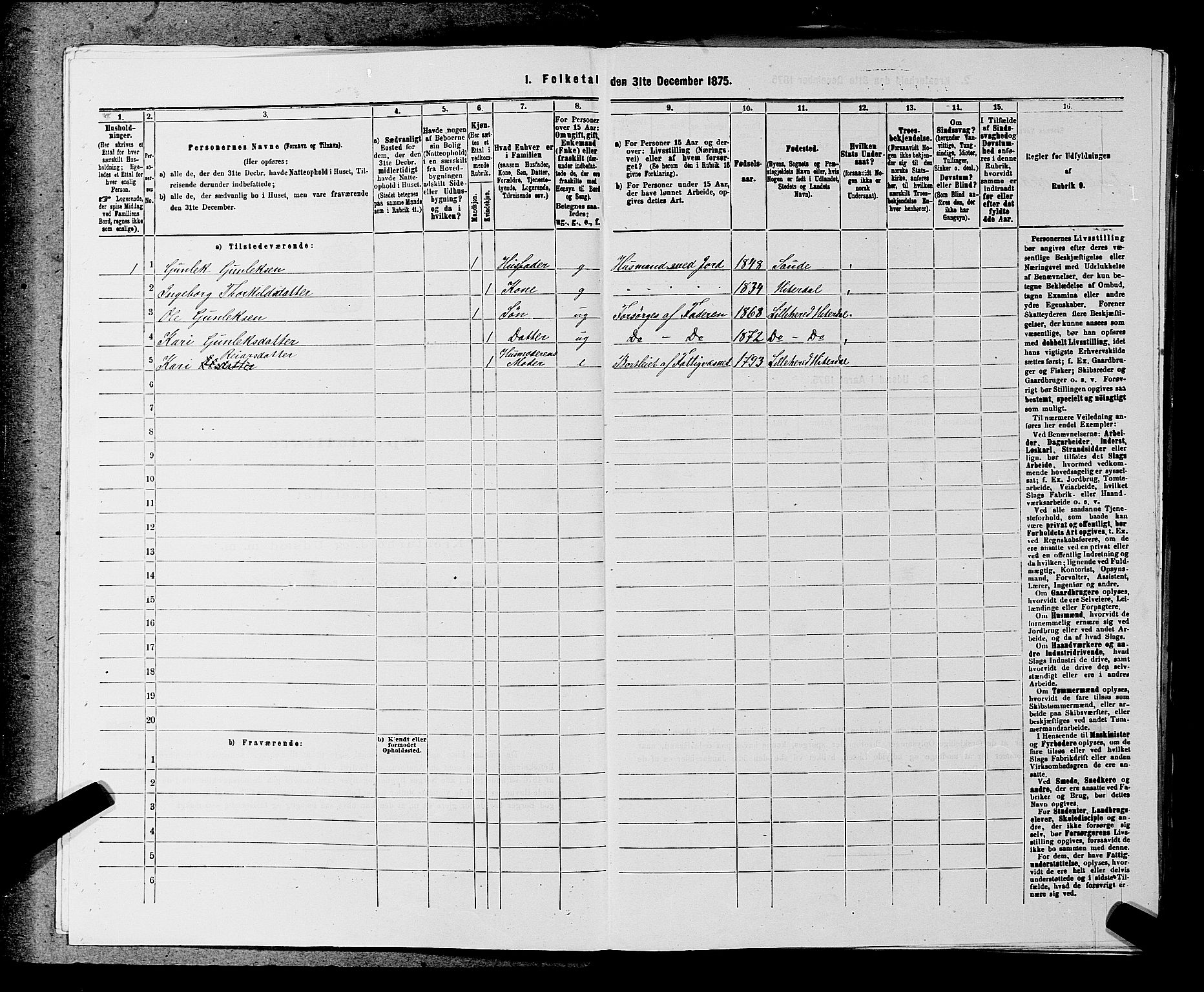 SAKO, 1875 census for 0823P Heddal, 1875, p. 707