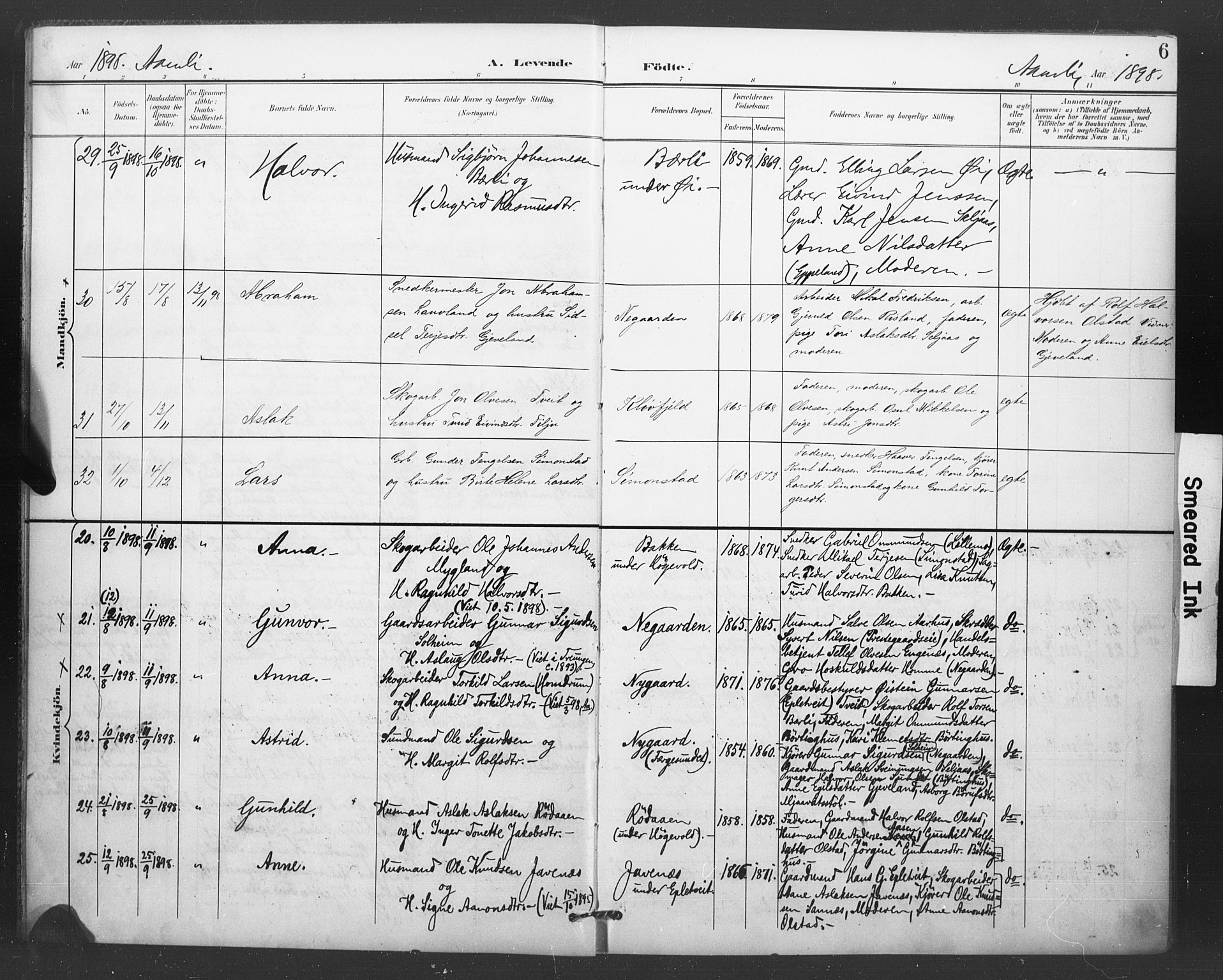 Åmli sokneprestkontor, AV/SAK-1111-0050/F/Fa/Fac/L0011: Parish register (official) no. A 11, 1898-1899, p. 6