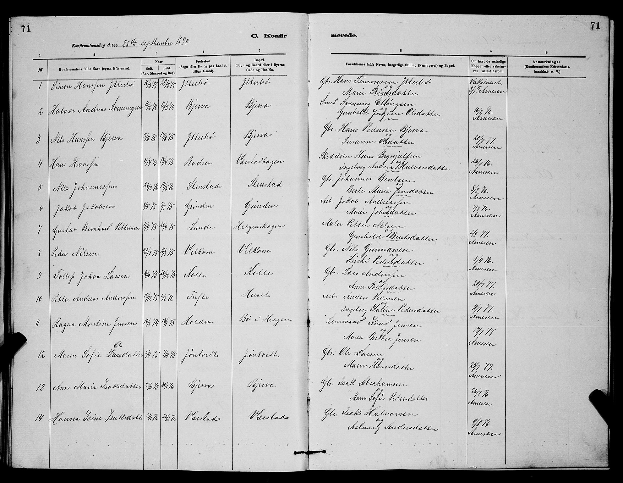 Holla kirkebøker, SAKO/A-272/G/Gb/L0001: Parish register (copy) no. II 1, 1882-1897, p. 71