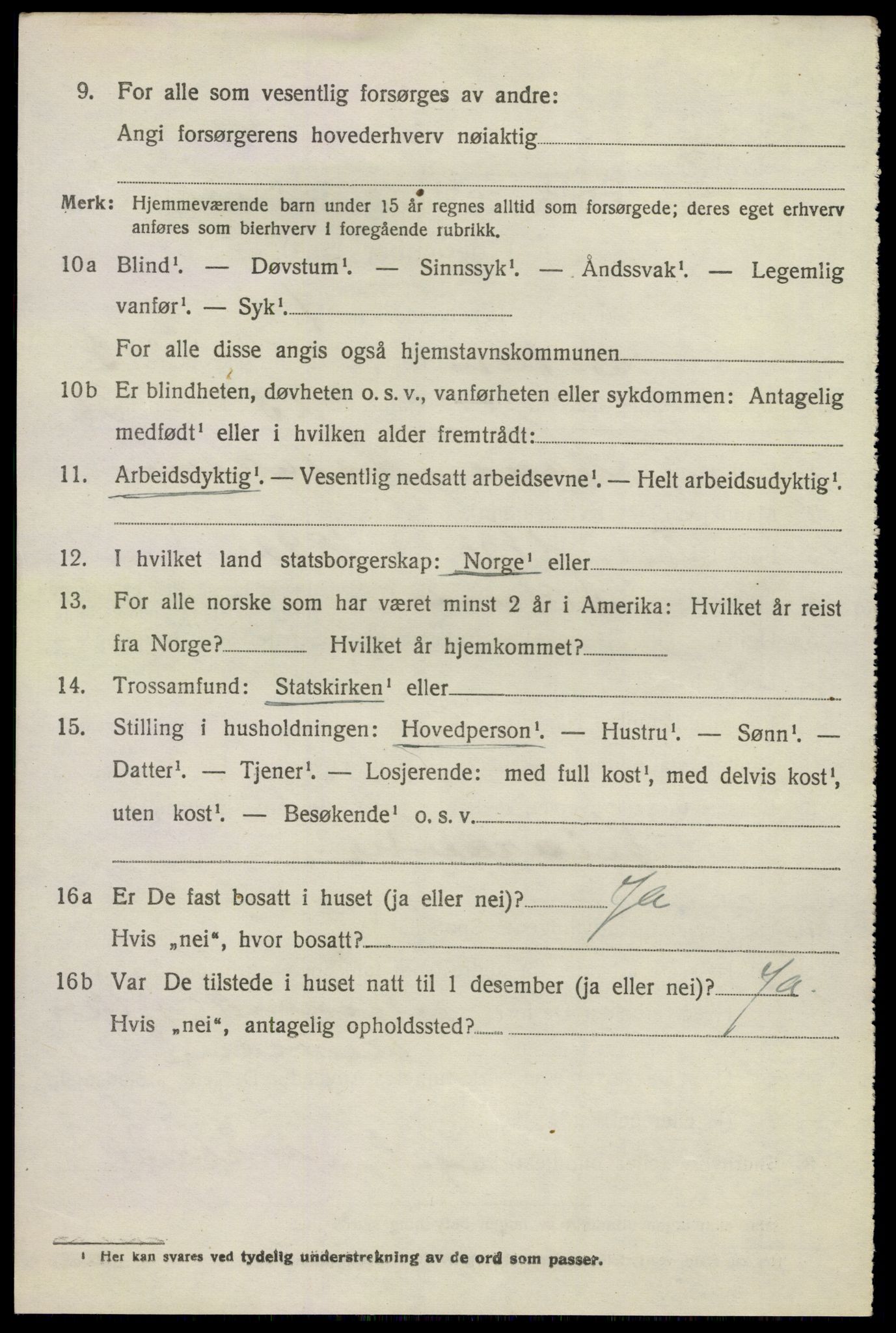 SAKO, 1920 census for Solum, 1920, p. 13163