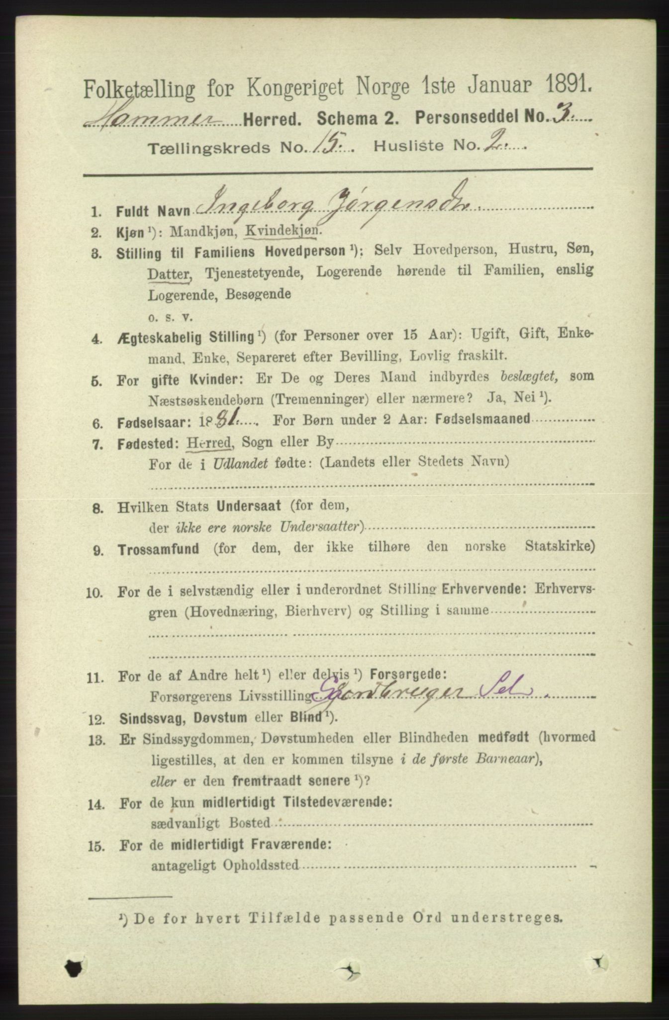 RA, 1891 census for 1254 Hamre, 1891, p. 4699