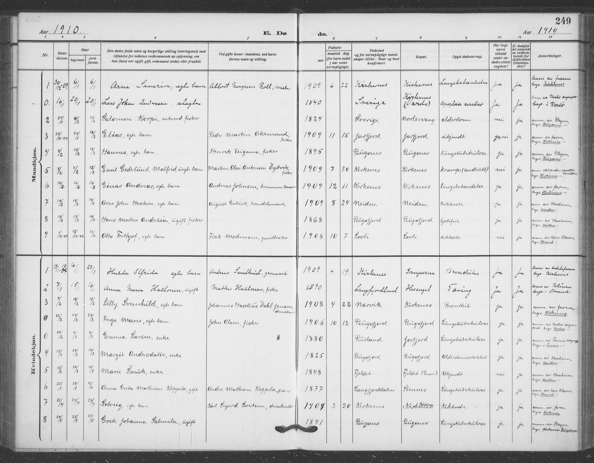 Sør-Varanger sokneprestkontor, SATØ/S-1331/H/Ha/L0005kirke: Parish register (official) no. 5, 1909-1919, p. 249