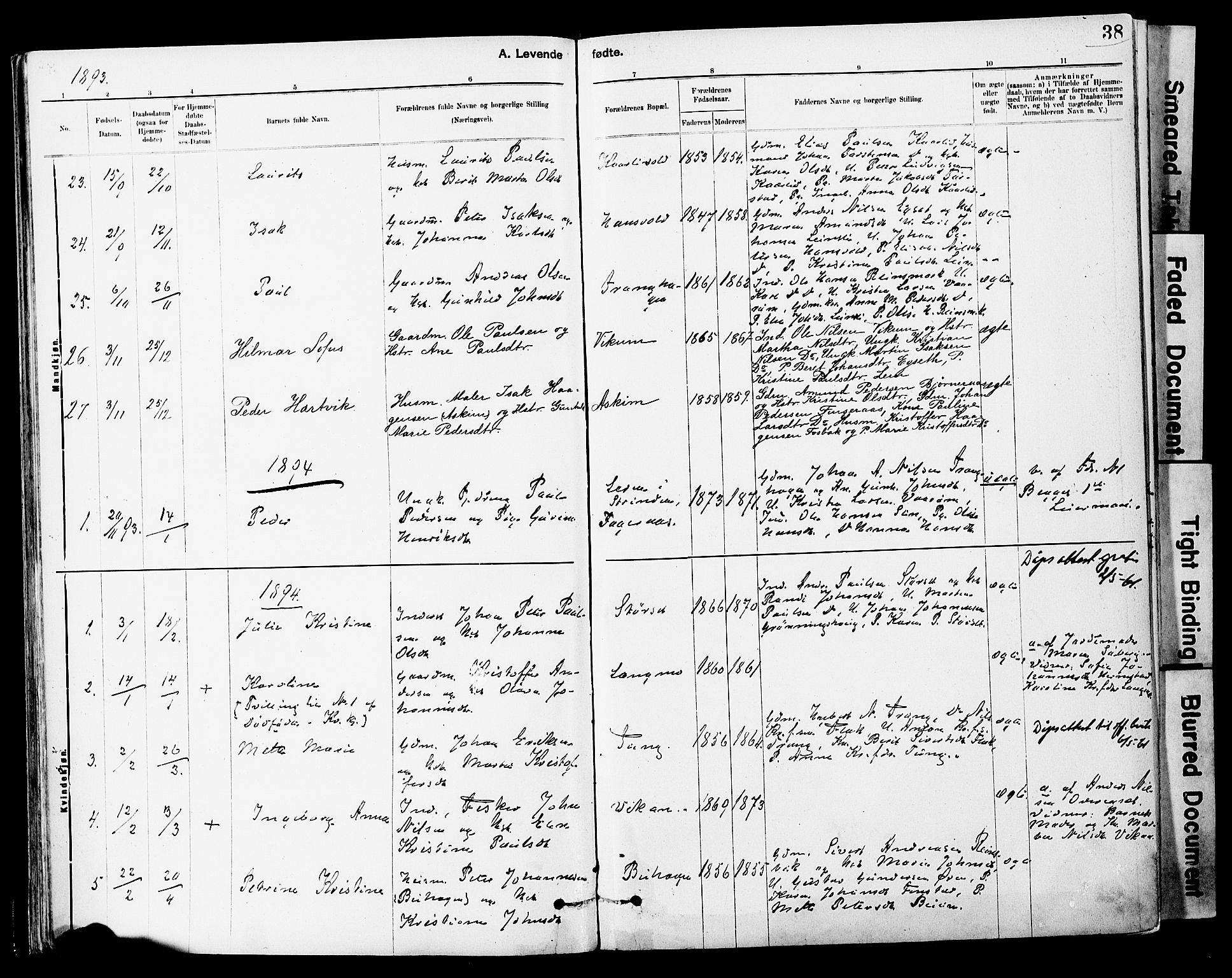 Ministerialprotokoller, klokkerbøker og fødselsregistre - Sør-Trøndelag, SAT/A-1456/646/L0615: Parish register (official) no. 646A13, 1885-1900, p. 38