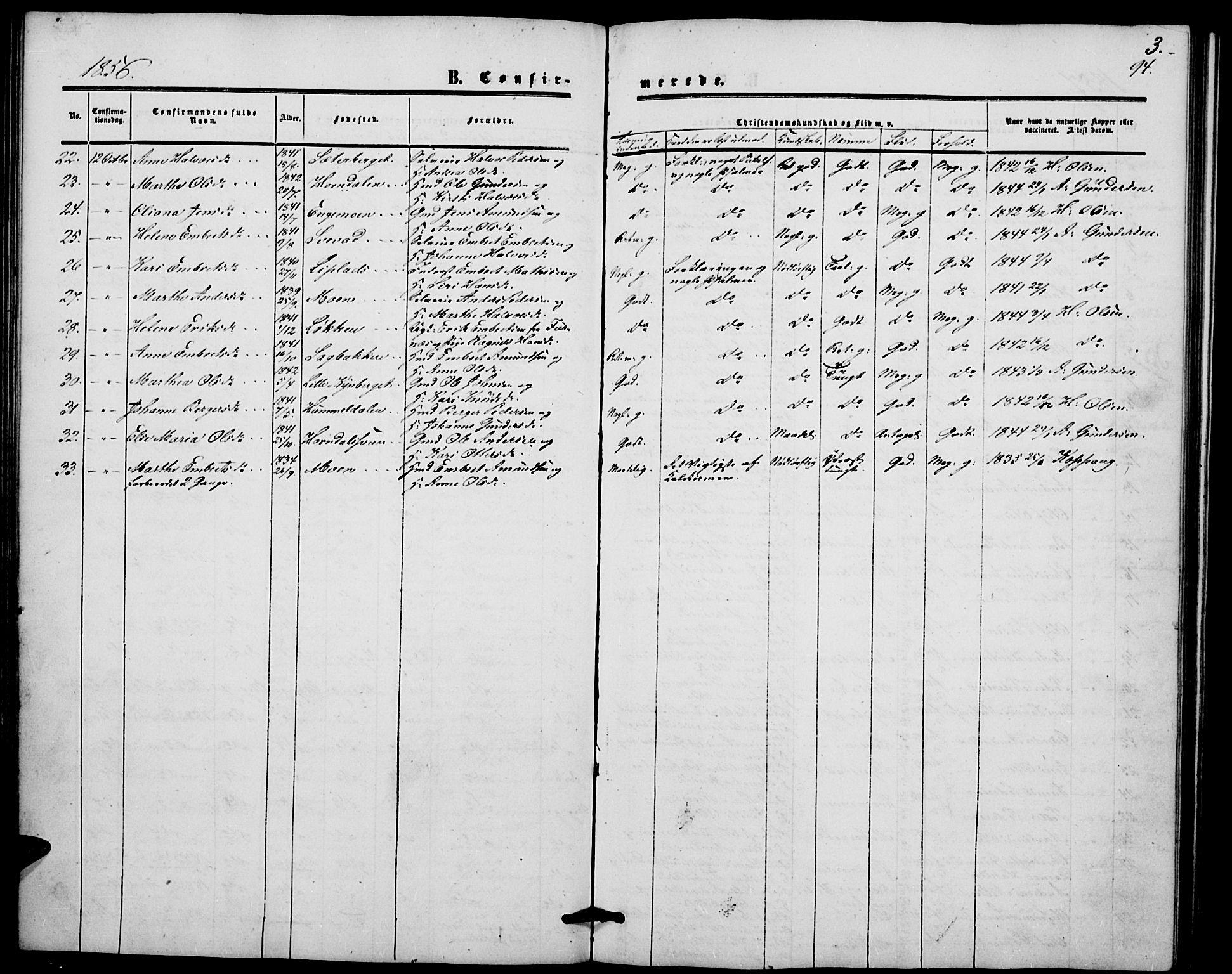 Elverum prestekontor, AV/SAH-PREST-044/H/Ha/Hab/L0003: Parish register (copy) no. 3, 1856-1865, p. 94