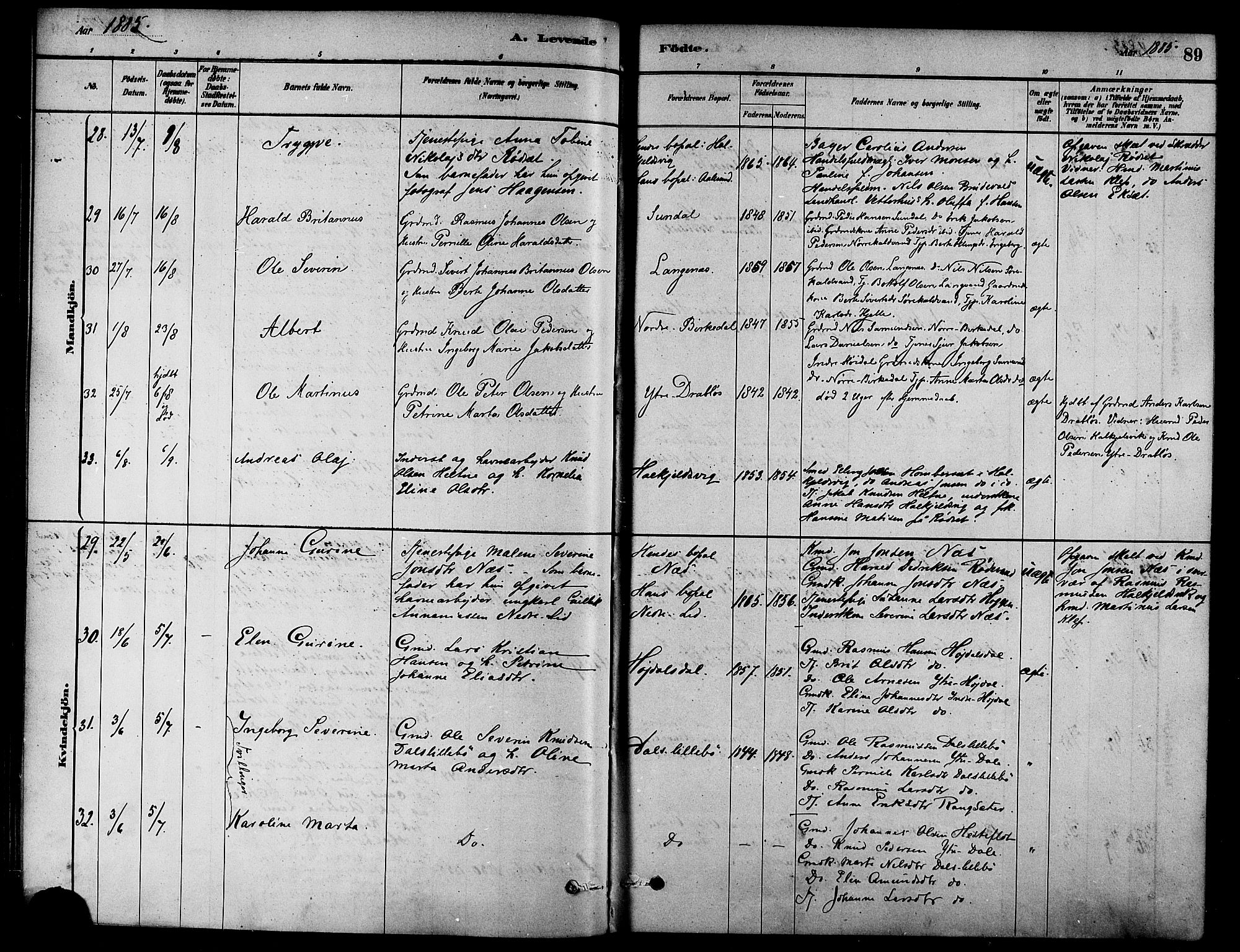 Ministerialprotokoller, klokkerbøker og fødselsregistre - Møre og Romsdal, AV/SAT-A-1454/511/L0141: Parish register (official) no. 511A08, 1878-1890, p. 89