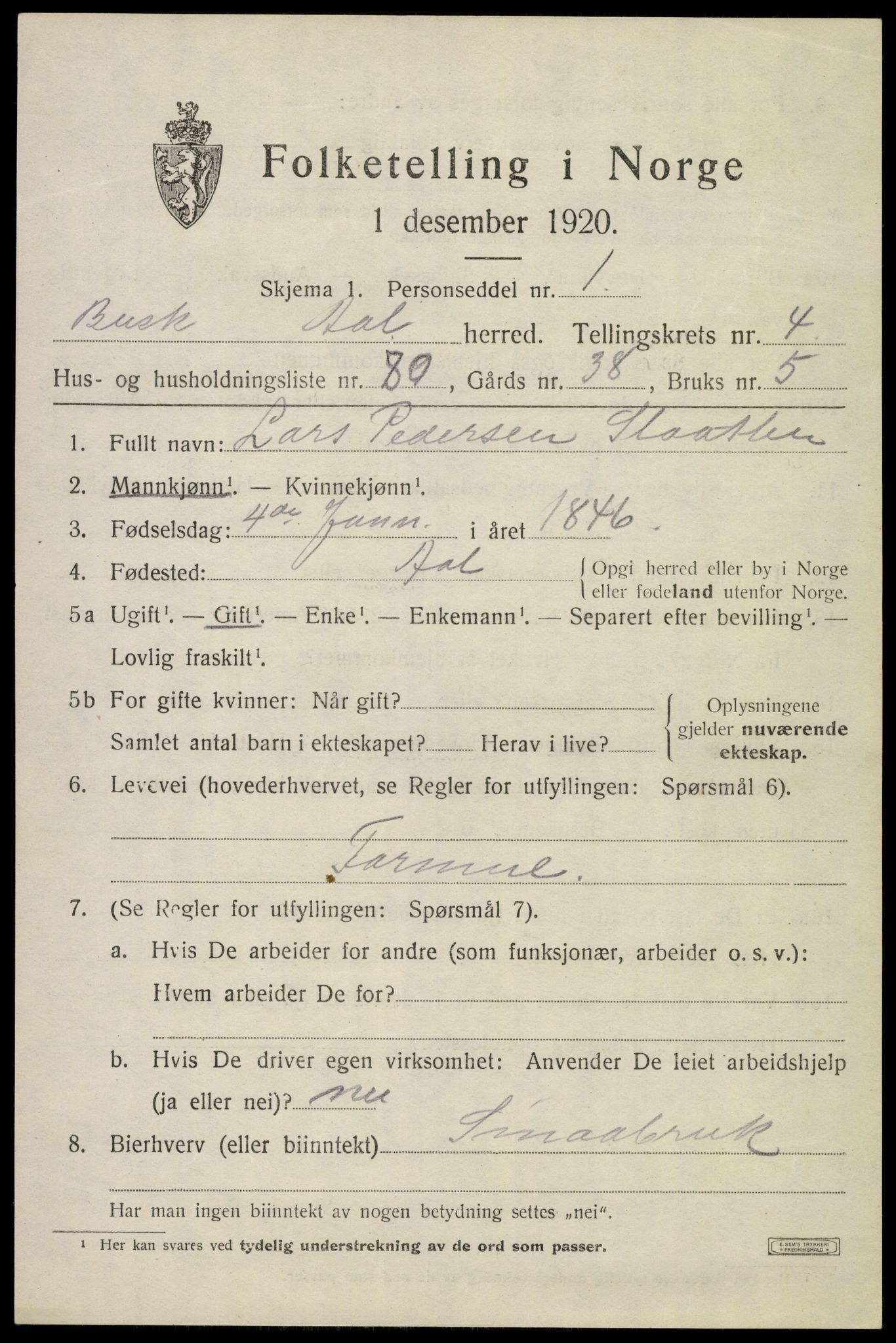 SAKO, 1920 census for Ål, 1920, p. 3868