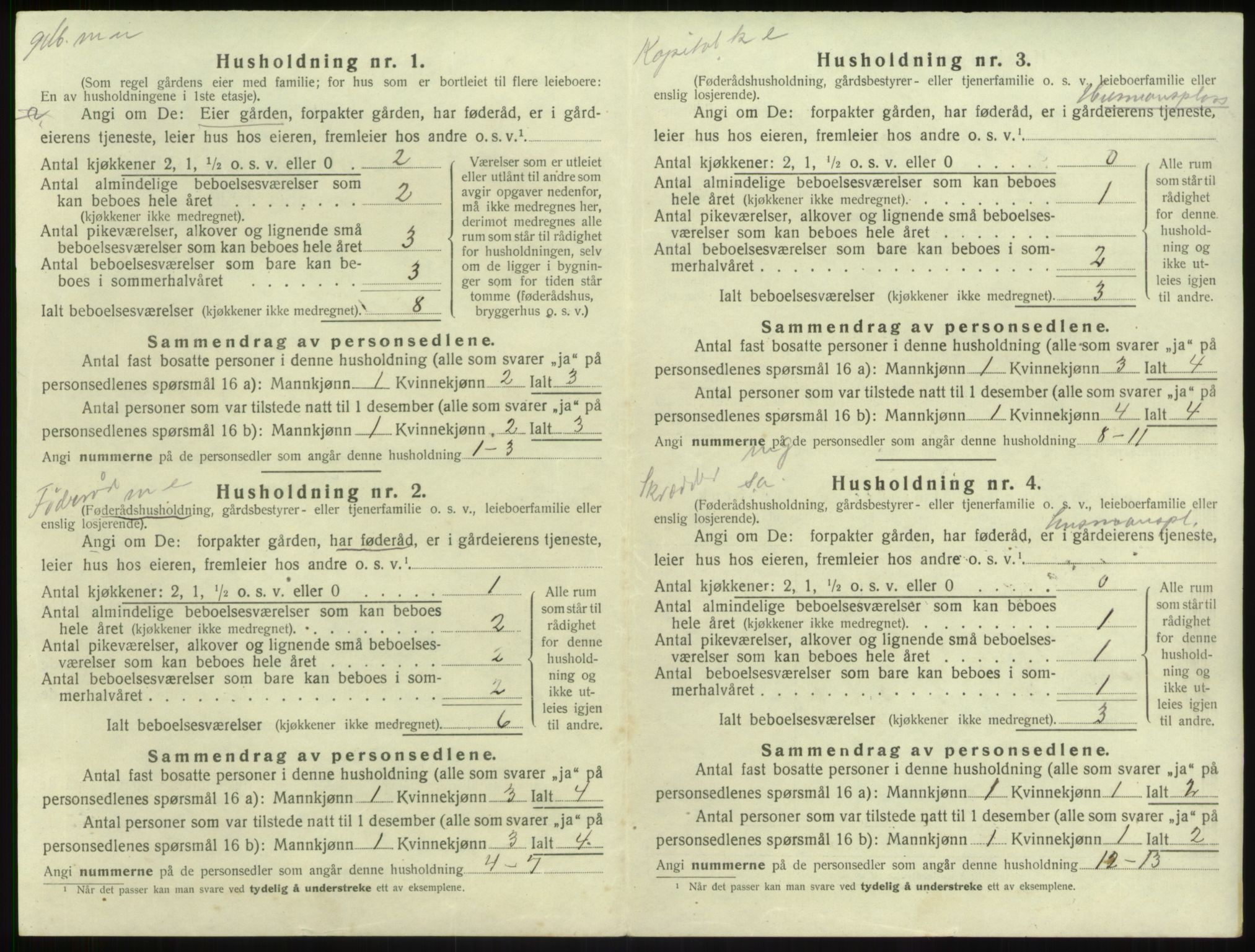 SAB, 1920 census for Balestrand, 1920, p. 687