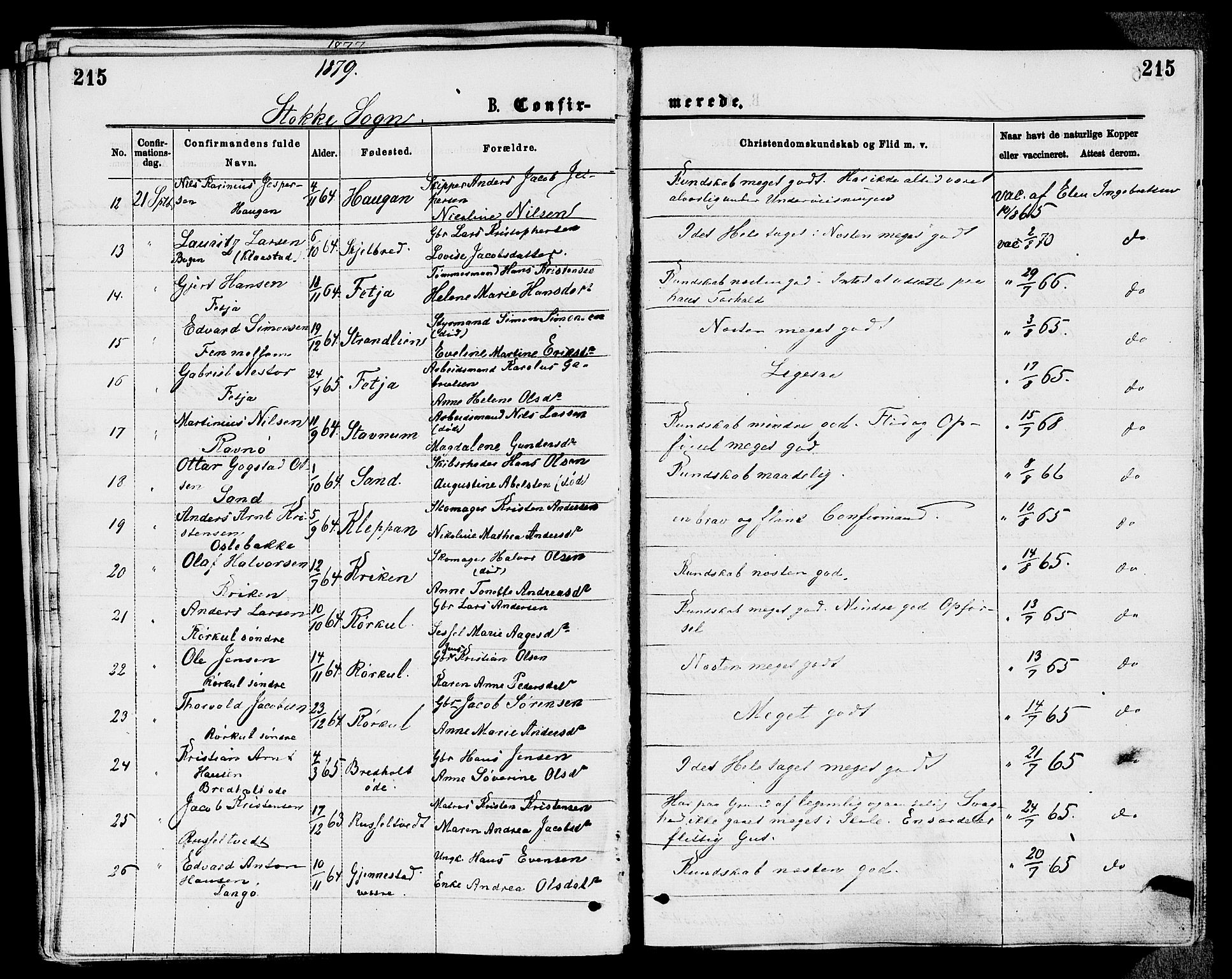 Stokke kirkebøker, AV/SAKO-A-320/F/Fa/L0009: Parish register (official) no. I 9, 1872-1883, p. 215