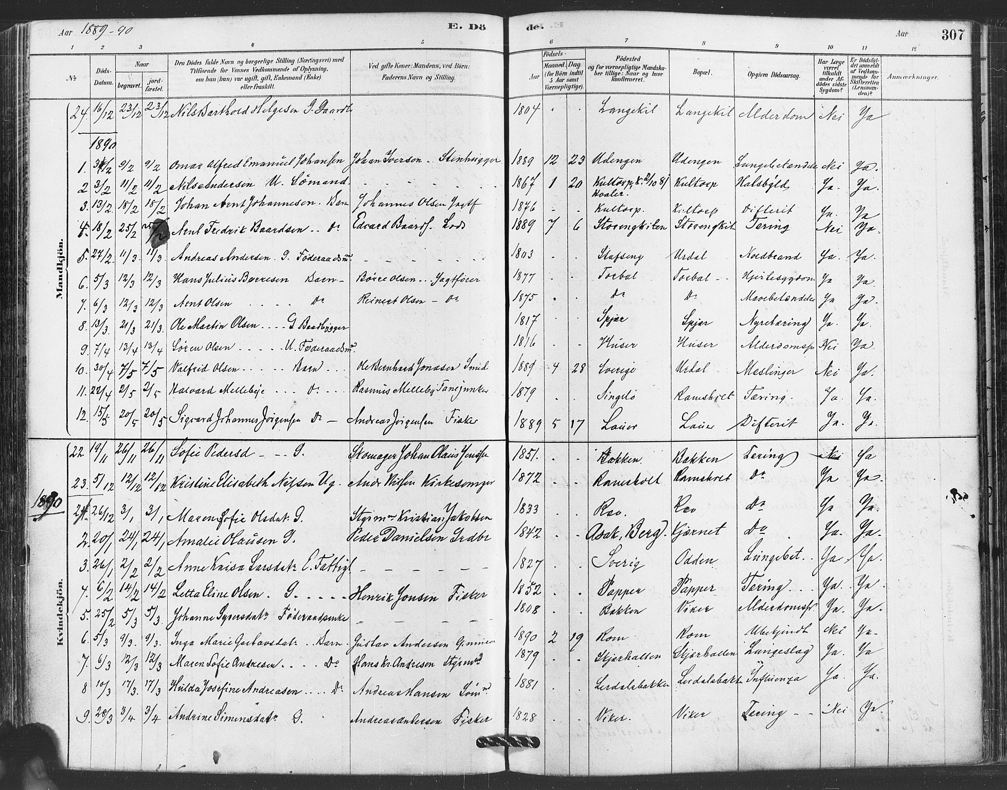 Hvaler prestekontor Kirkebøker, AV/SAO-A-2001/F/Fa/L0008: Parish register (official) no. I 8, 1878-1895, p. 307