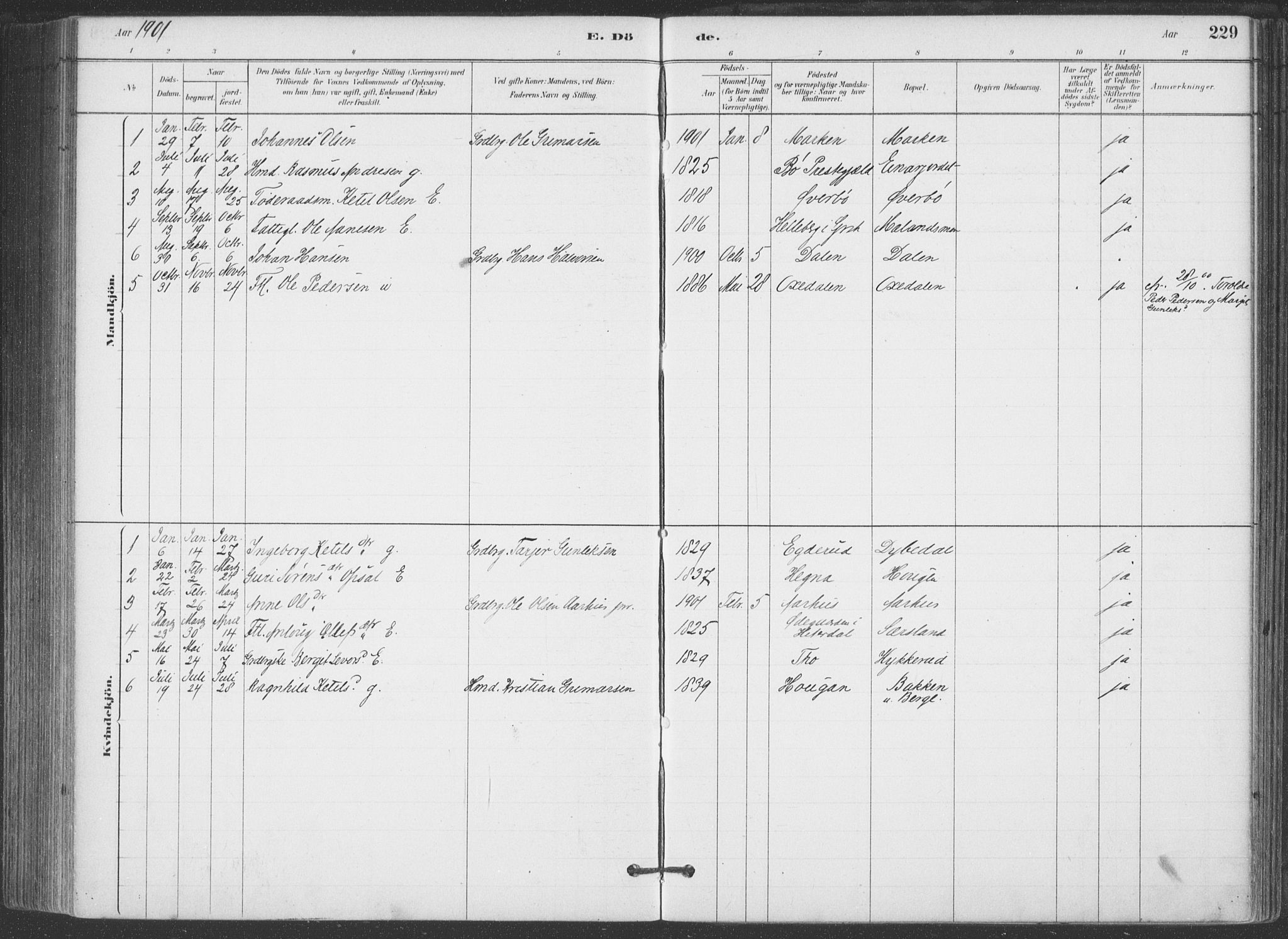 Hjartdal kirkebøker, AV/SAKO-A-270/F/Fa/L0010: Parish register (official) no. I 10, 1880-1929, p. 229