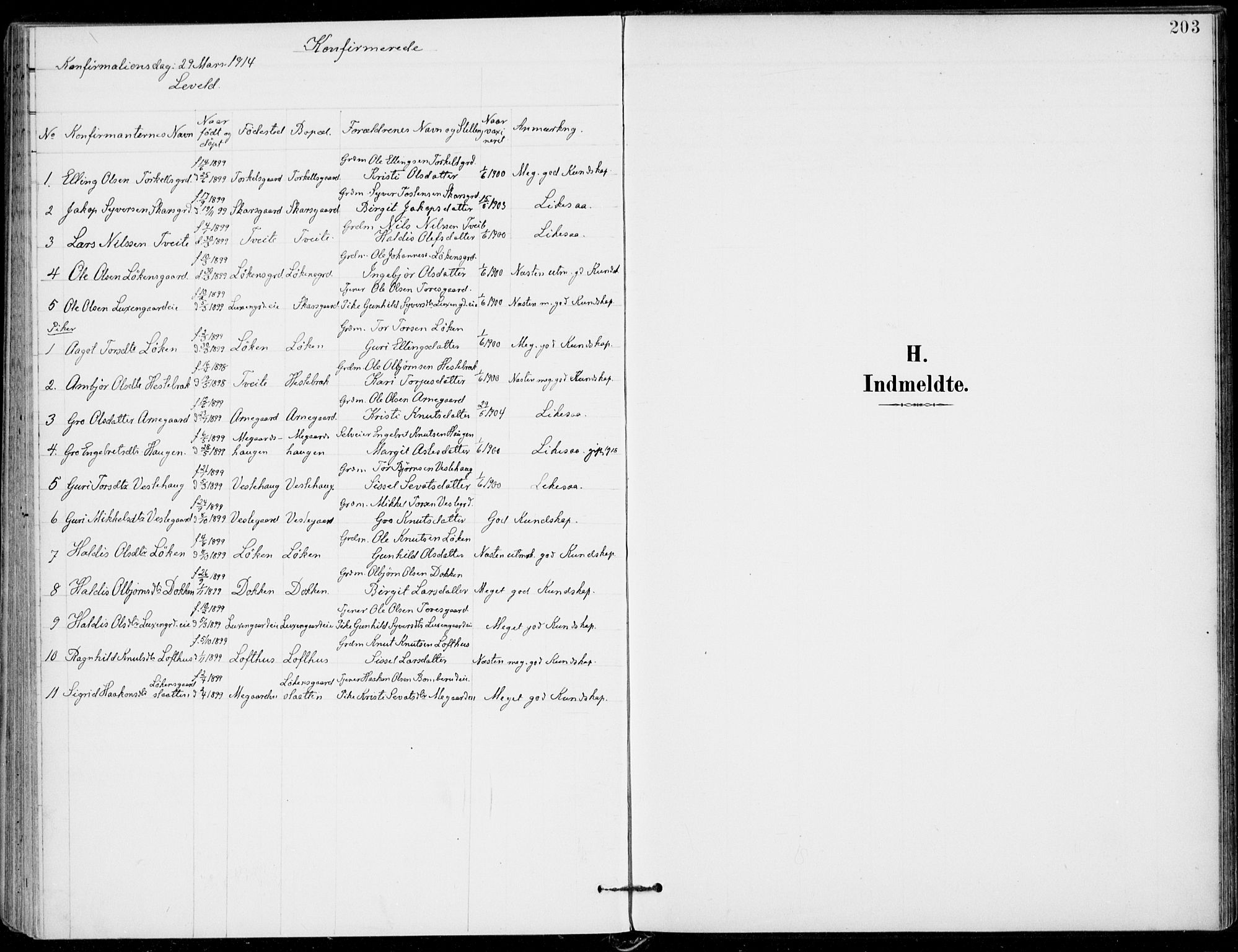 Ål kirkebøker, AV/SAKO-A-249/F/Fa/L0009: Parish register (official) no. I 9, 1897-1915, p. 203