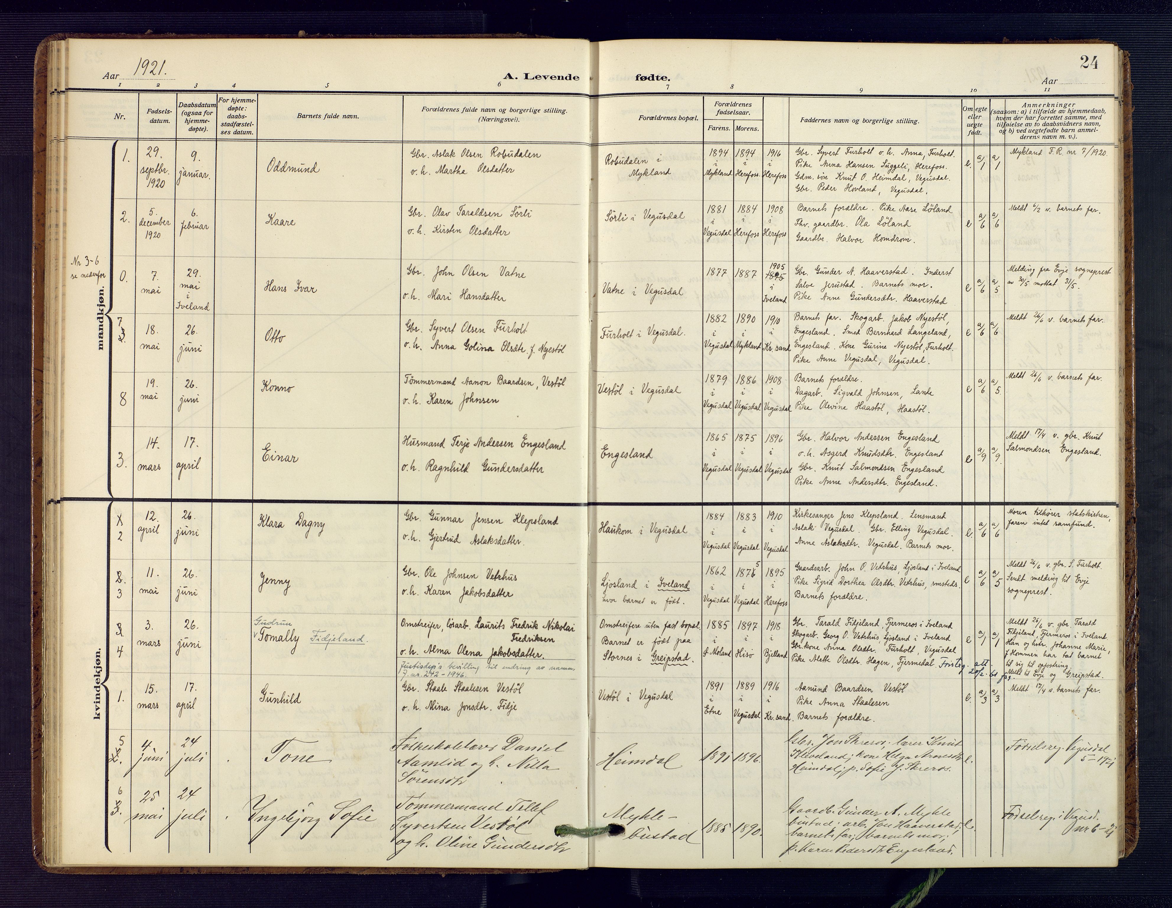 Herefoss sokneprestkontor, SAK/1111-0019/F/Fa/Fab/L0005: Parish register (official) no. A 5, 1910-1932, p. 24