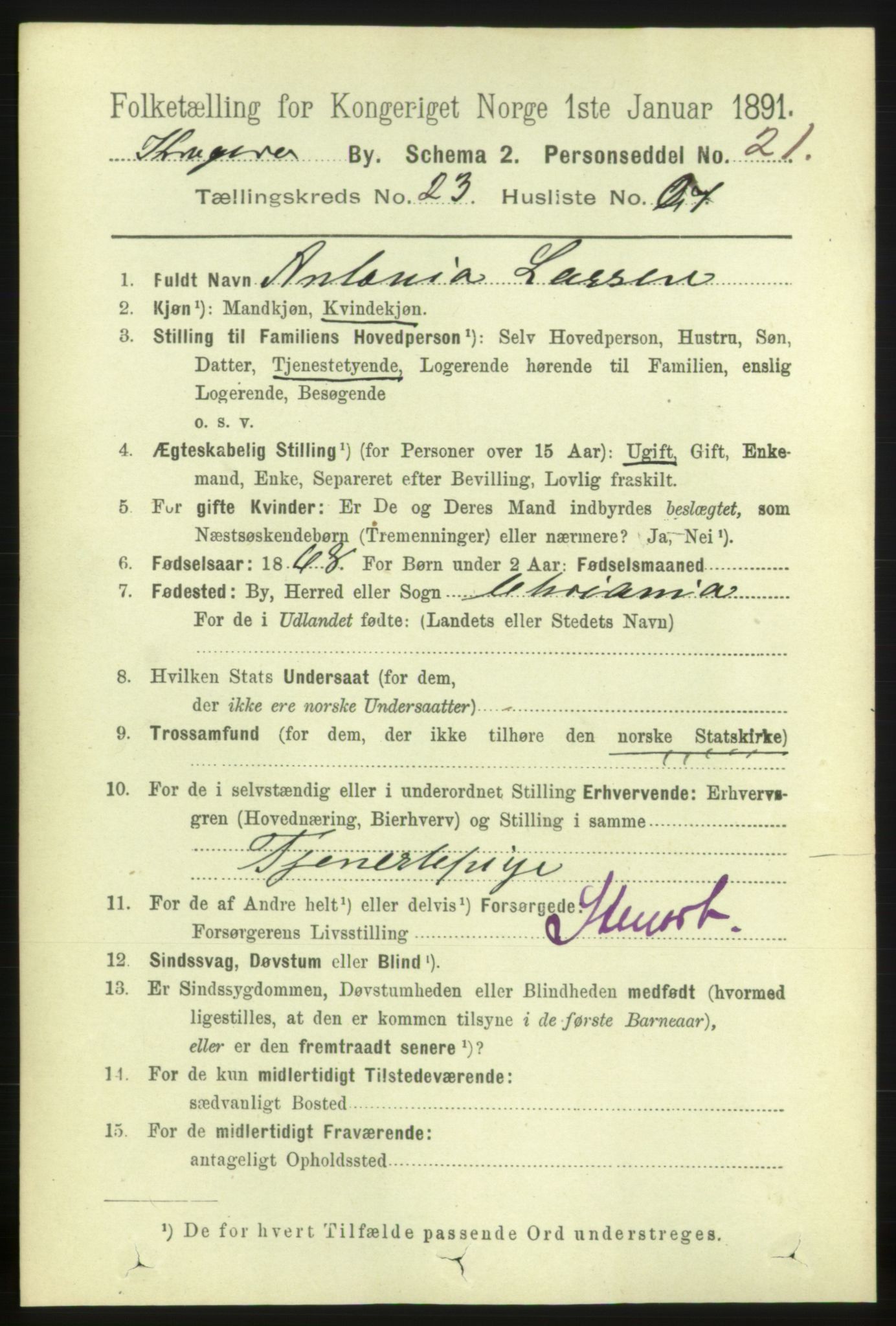 RA, 1891 census for 0801 Kragerø, 1891, p. 4982