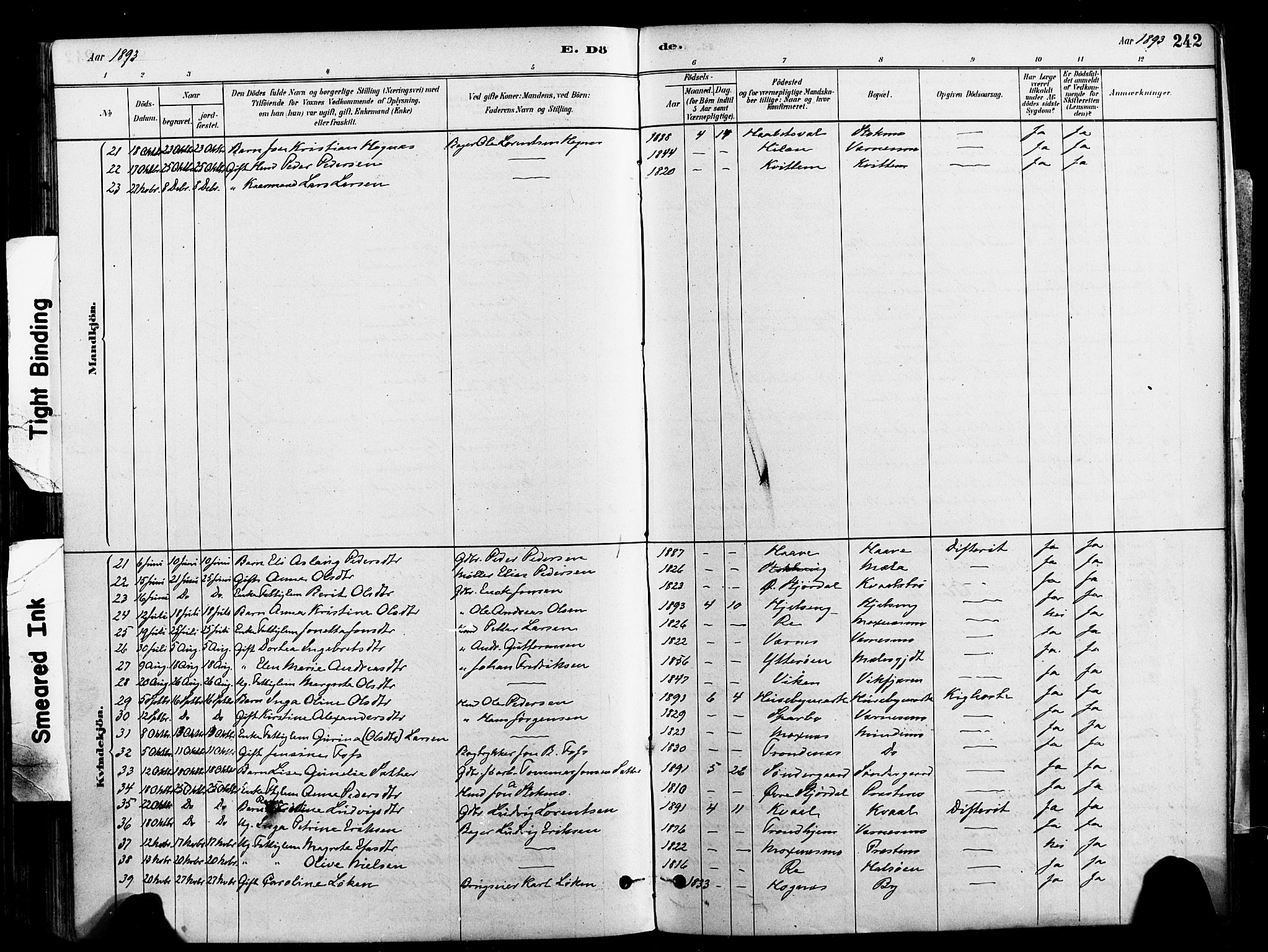 Ministerialprotokoller, klokkerbøker og fødselsregistre - Nord-Trøndelag, SAT/A-1458/709/L0077: Parish register (official) no. 709A17, 1880-1895, p. 242