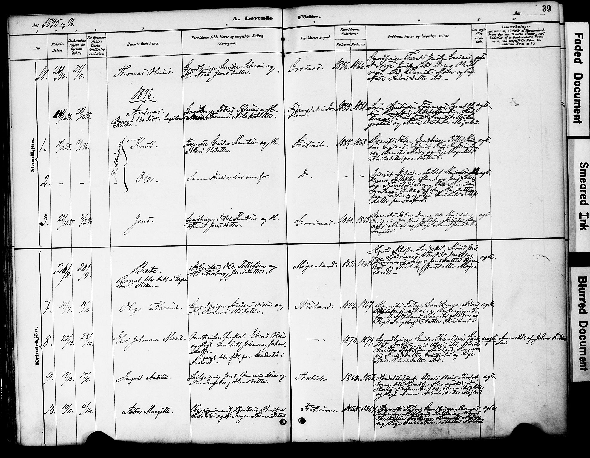 Evje sokneprestkontor, AV/SAK-1111-0008/F/Fa/Fac/L0003: Parish register (official) no. A 3, 1884-1909, p. 39