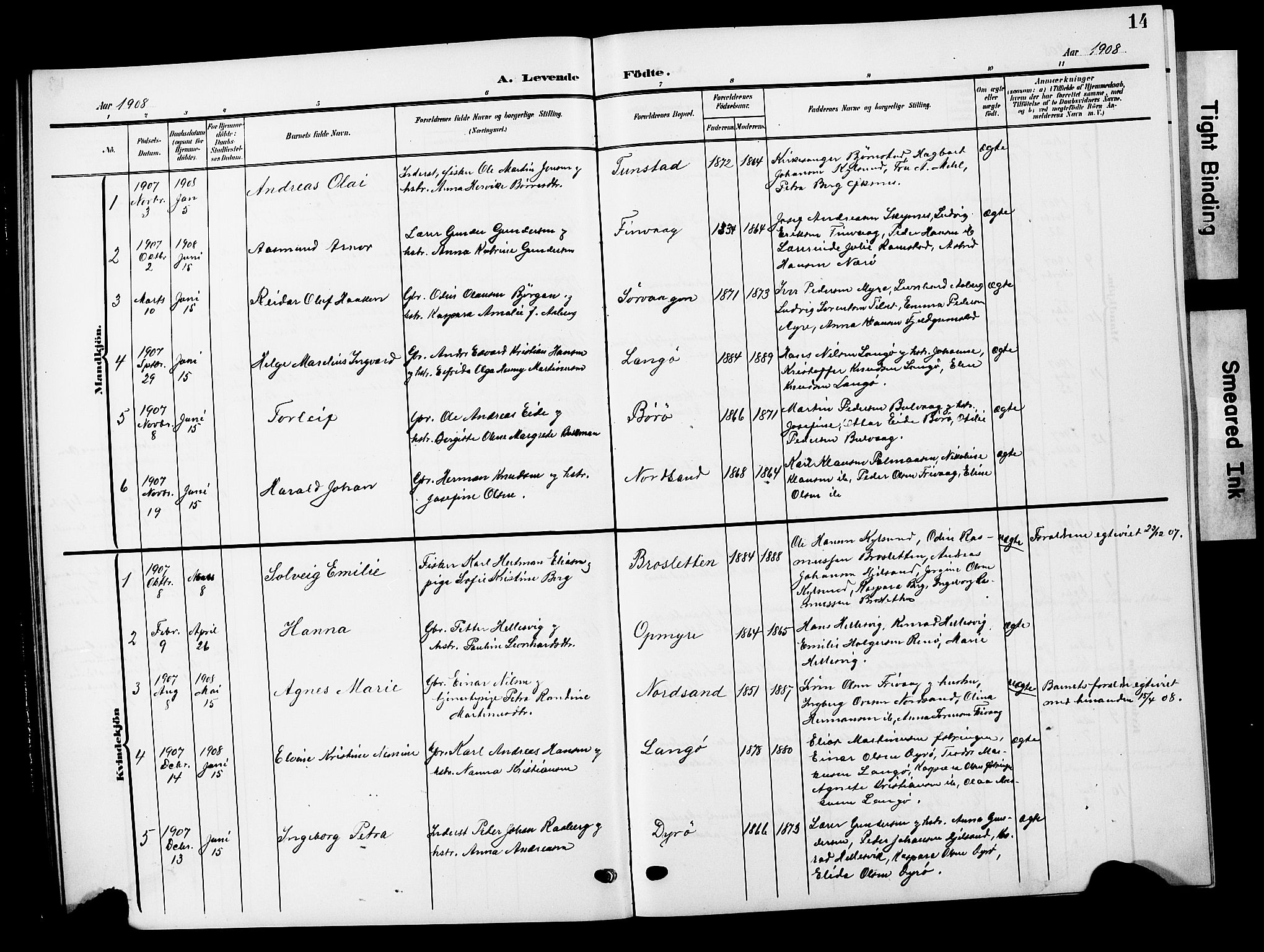 Ministerialprotokoller, klokkerbøker og fødselsregistre - Nordland, AV/SAT-A-1459/893/L1350: Parish register (copy) no. 893C05, 1906-1927, p. 14