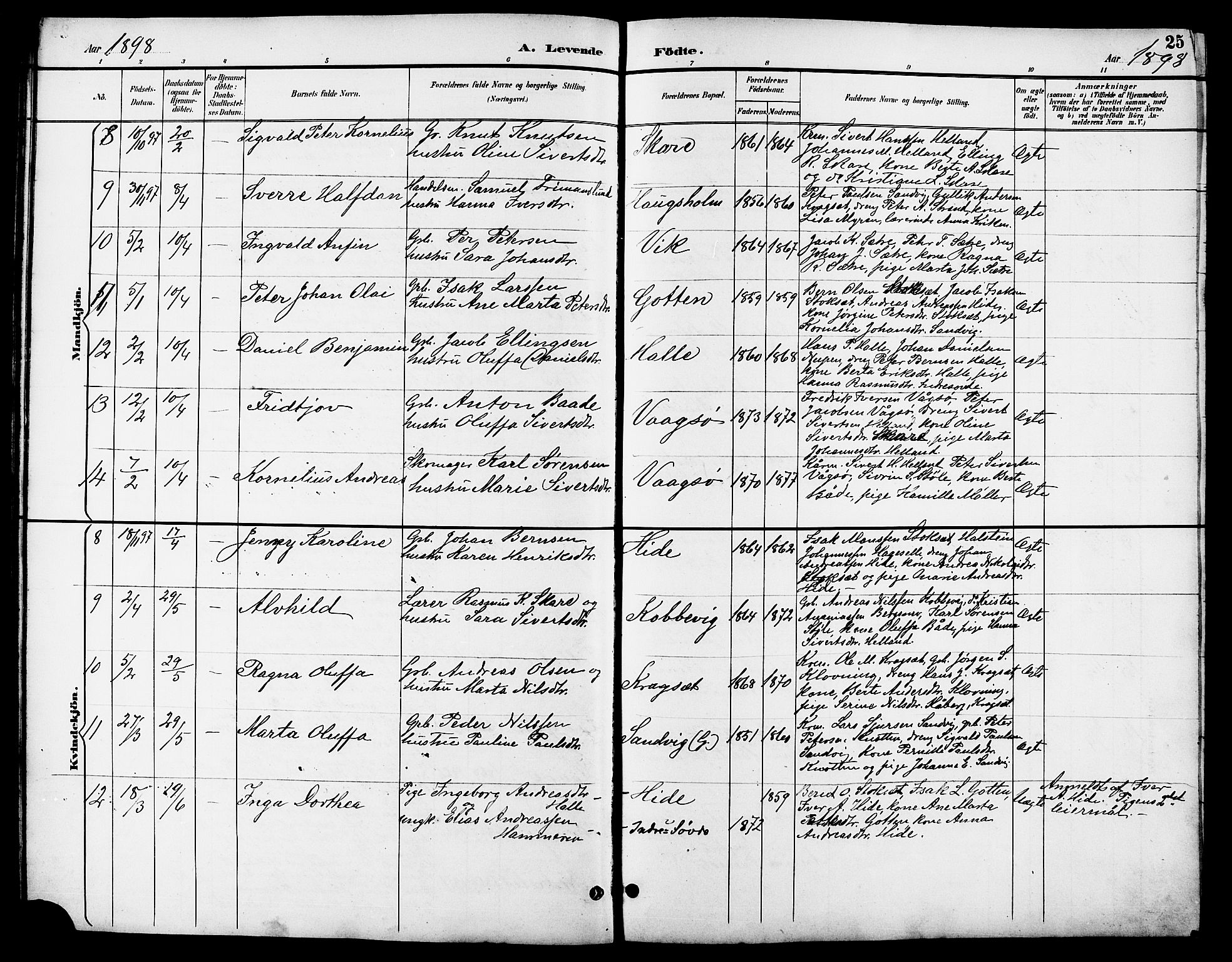 Ministerialprotokoller, klokkerbøker og fødselsregistre - Møre og Romsdal, AV/SAT-A-1454/503/L0049: Parish register (copy) no. 503C04, 1894-1915, p. 25