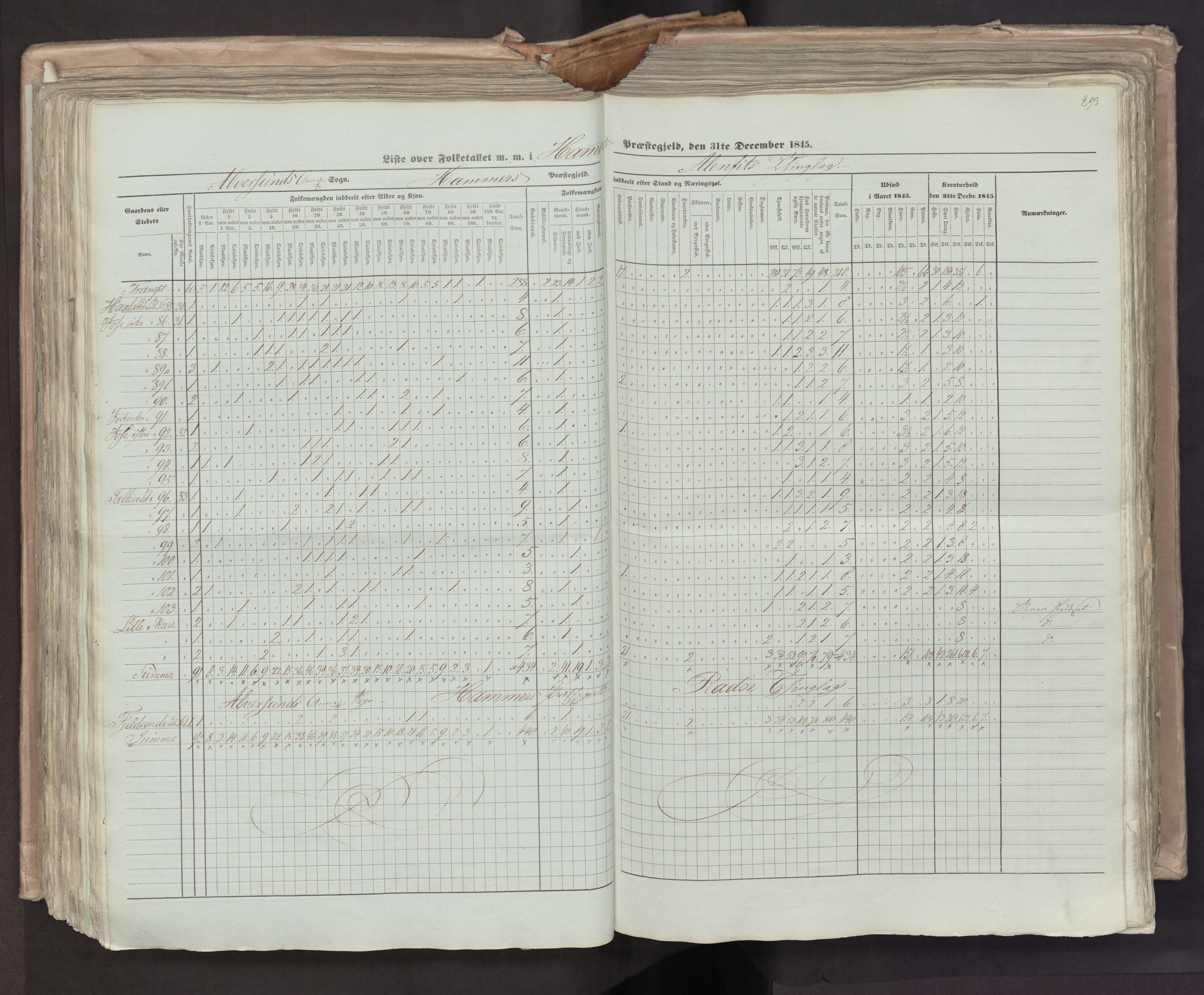 RA, Census 1845, vol. 7: Søndre Bergenhus amt og Nordre Bergenhus amt, 1845, p. 293