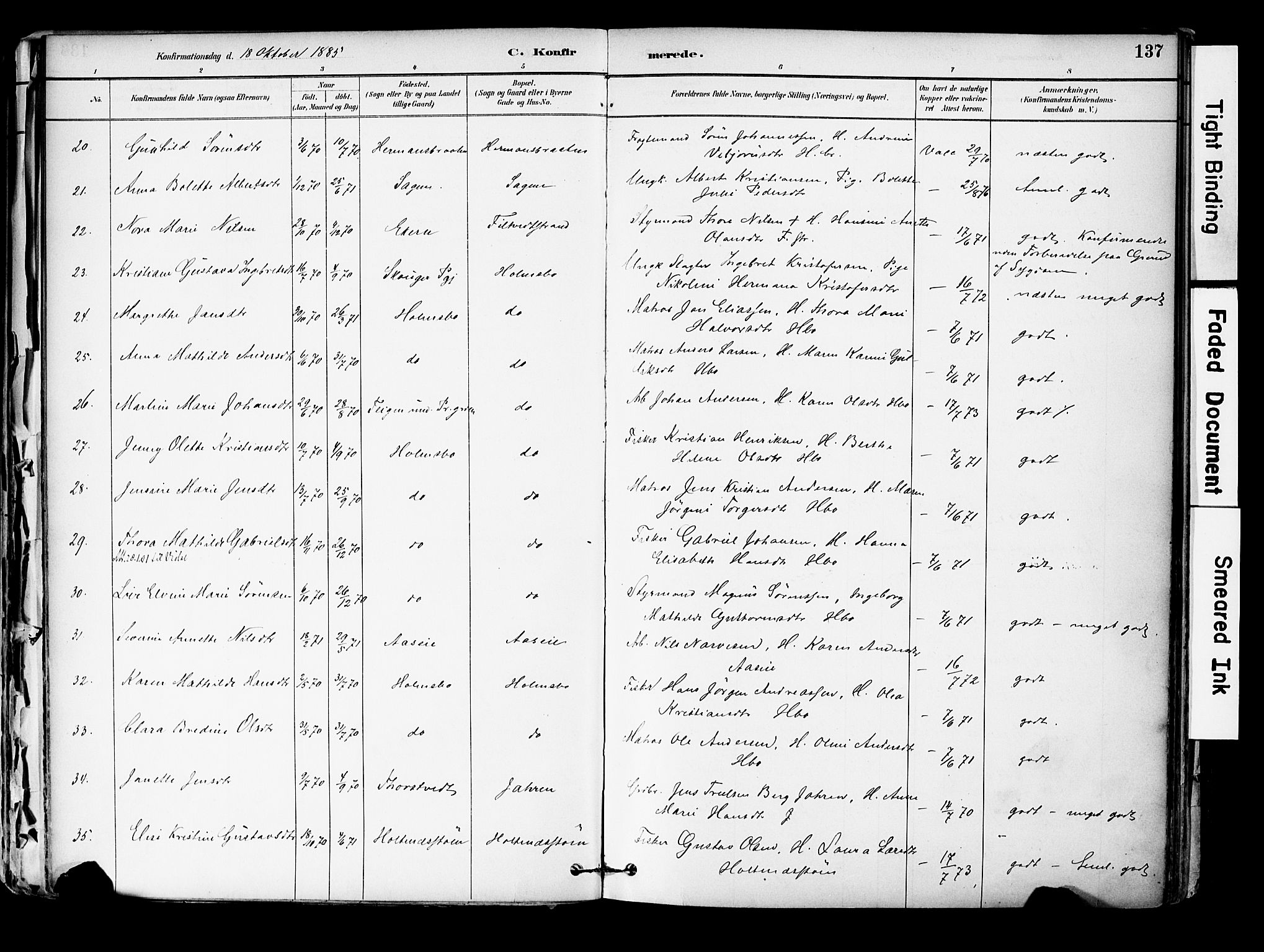 Hurum kirkebøker, AV/SAKO-A-229/F/Fa/L0014: Parish register (official) no. 14, 1882-1895, p. 137