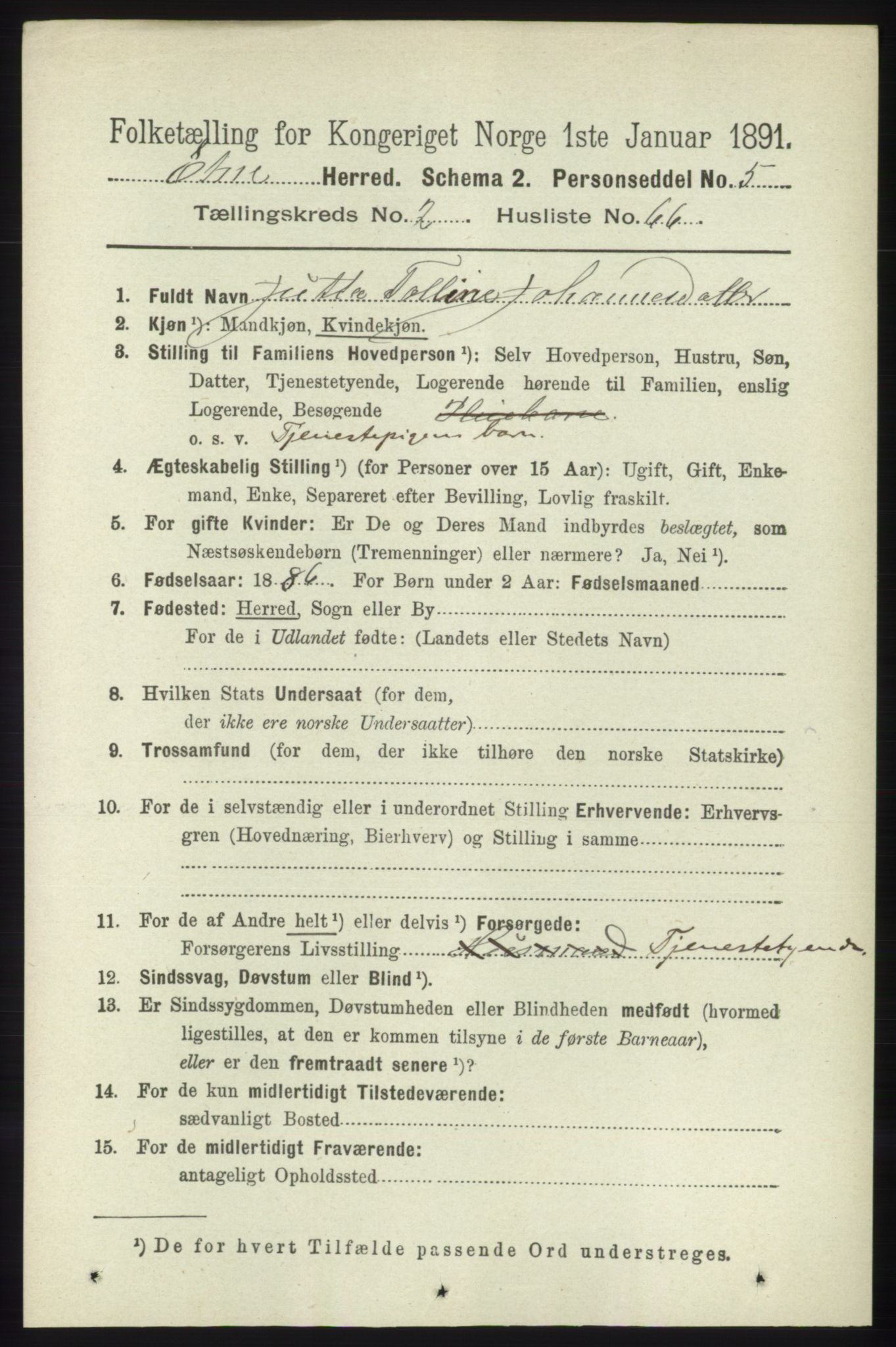 RA, 1891 census for 1211 Etne, 1891, p. 655