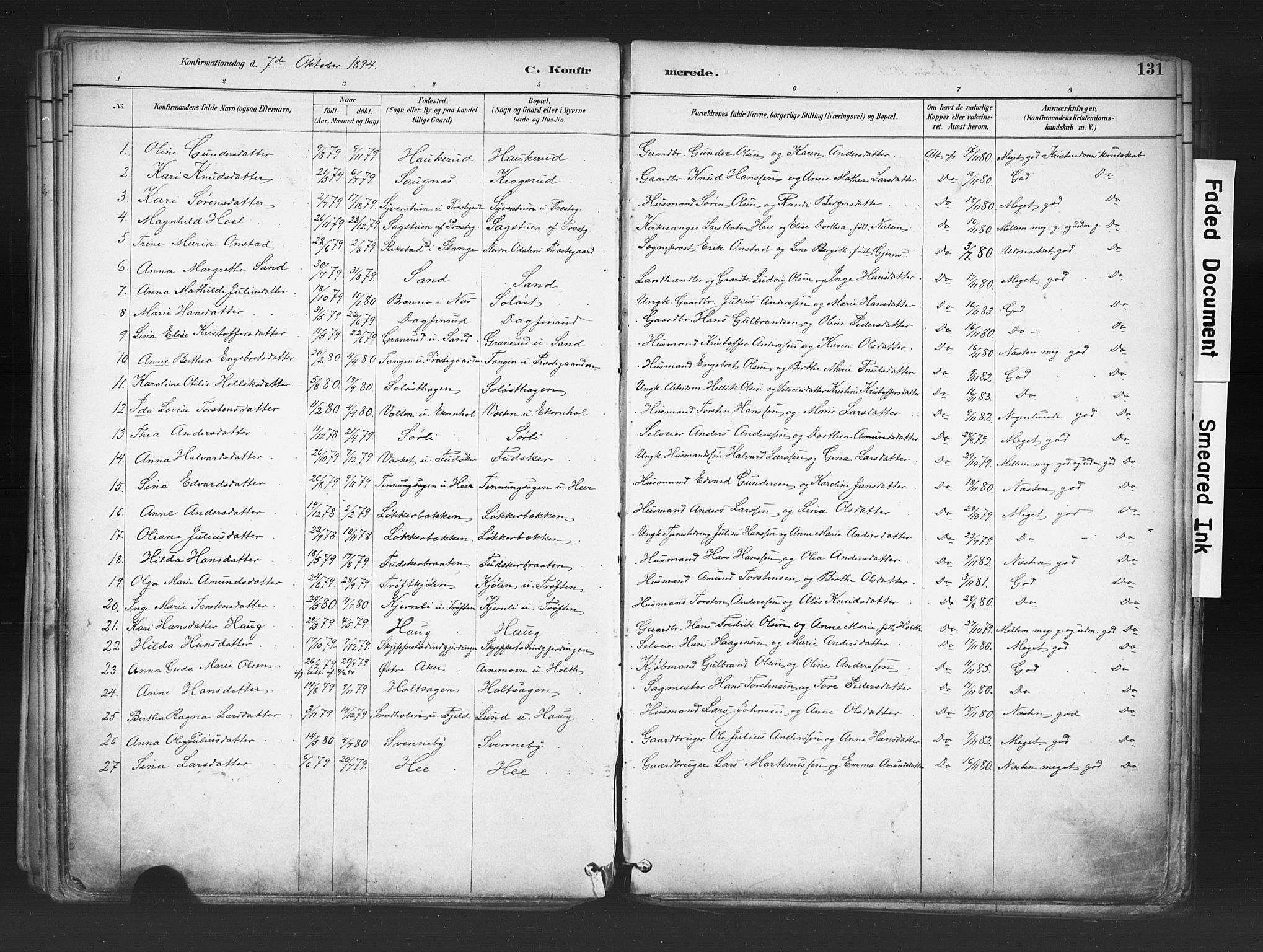 Nord-Odal prestekontor, SAH/PREST-032/H/Ha/Haa/L0006: Parish register (official) no. 6, 1886-1901, p. 131