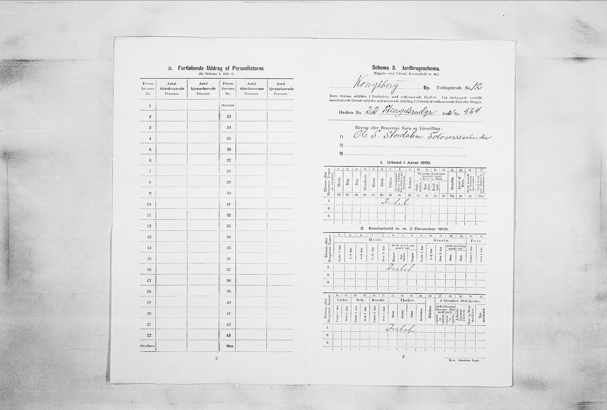RA, 1900 census for Kongsberg, 1900, p. 2204