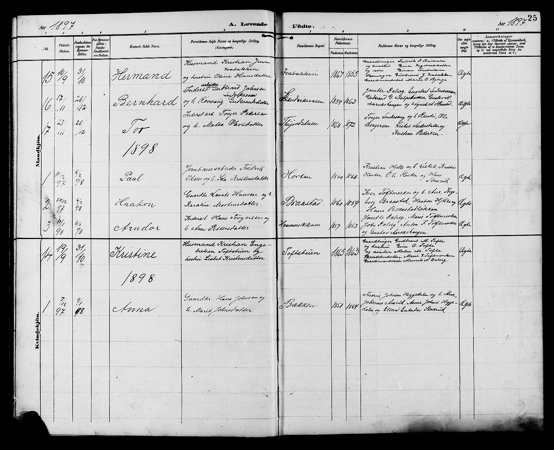 Ringebu prestekontor, SAH/PREST-082/H/Ha/Hab/L0007: Parish register (copy) no. 7, 1890-1910, p. 25