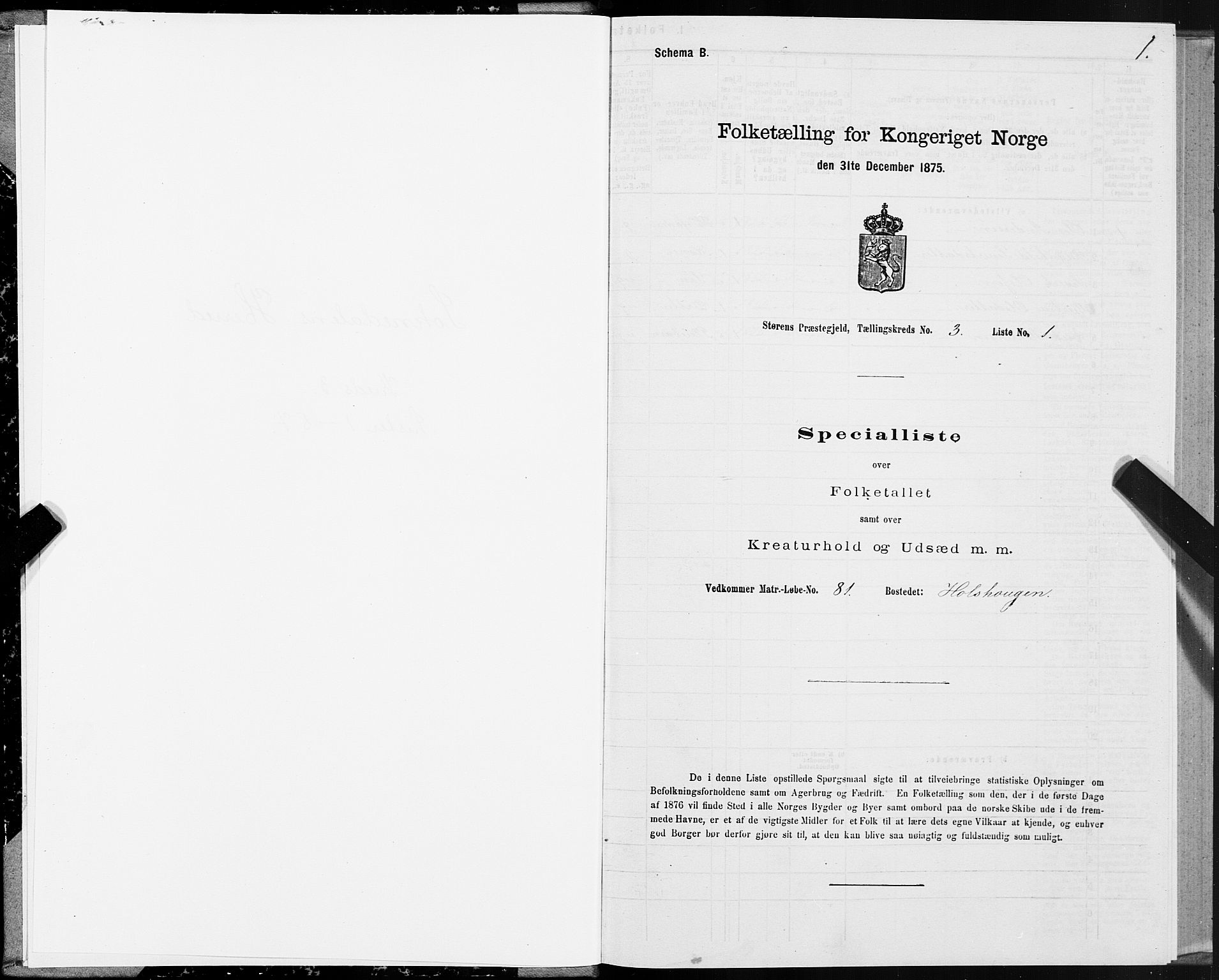 SAT, 1875 census for 1648P Støren, 1875, p. 8001