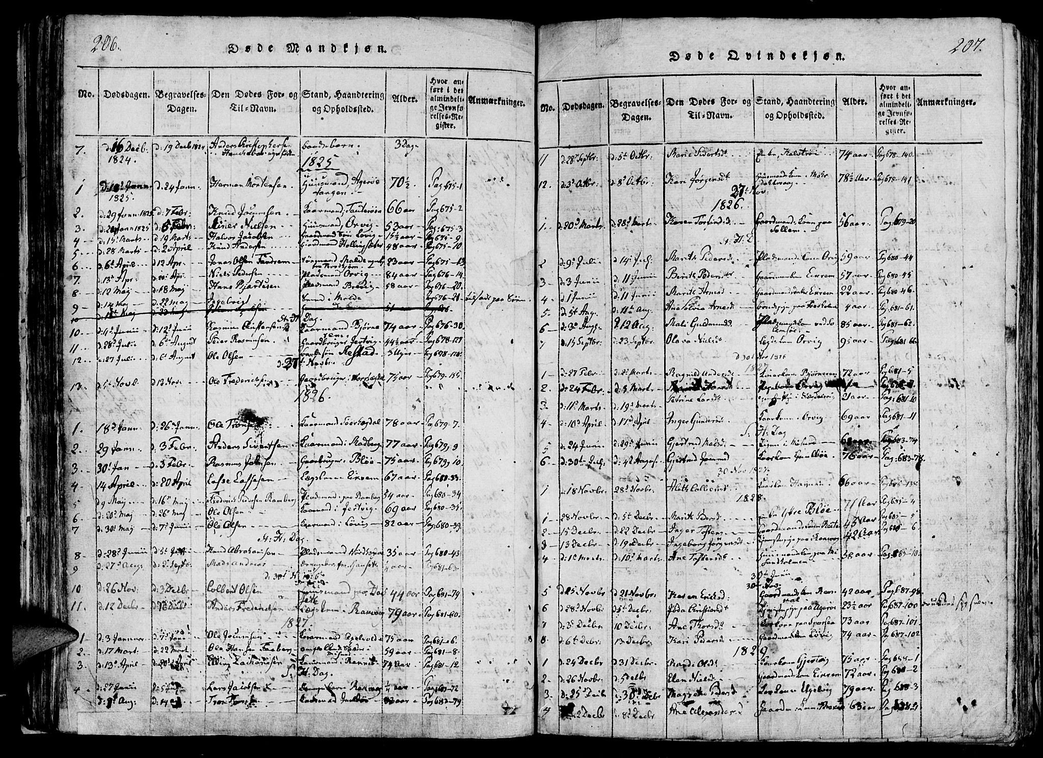 Ministerialprotokoller, klokkerbøker og fødselsregistre - Møre og Romsdal, SAT/A-1454/560/L0718: Parish register (official) no. 560A02, 1817-1844, p. 206-207