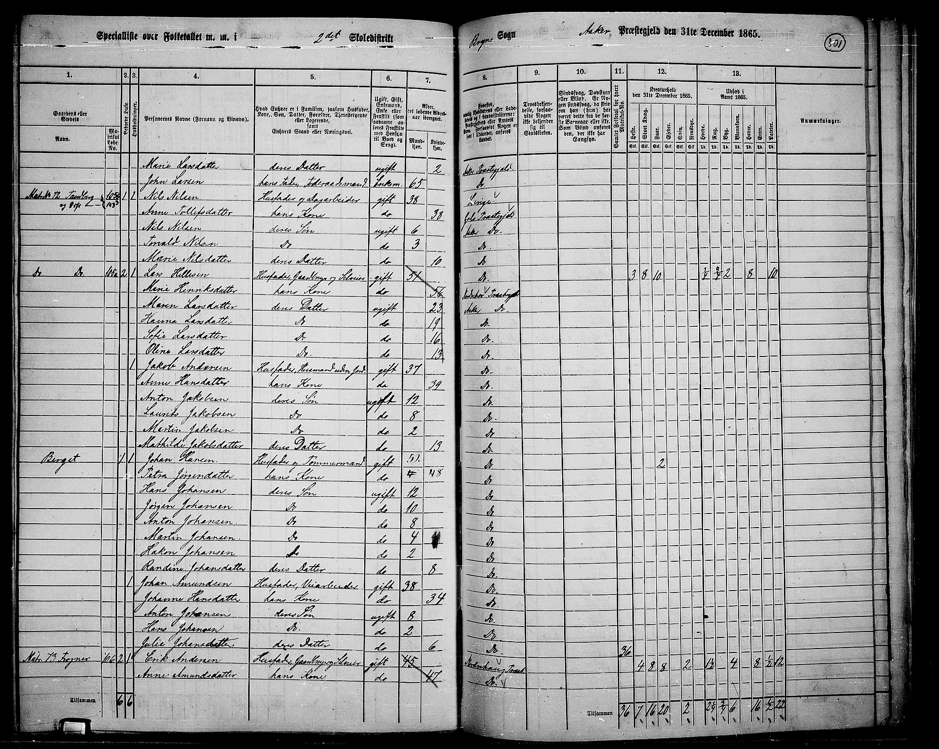 RA, 1865 census for Asker, 1865, p. 290