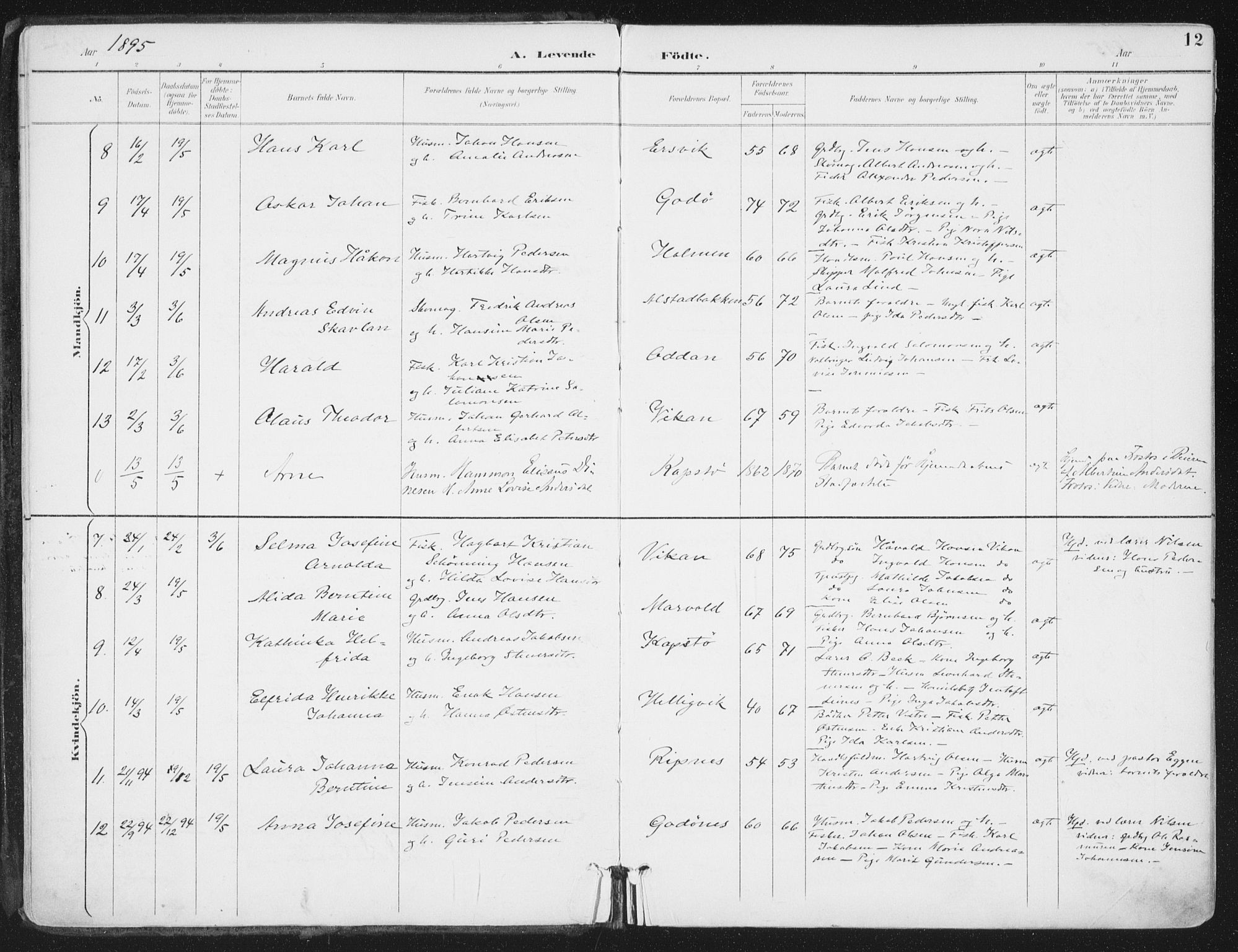 Ministerialprotokoller, klokkerbøker og fødselsregistre - Nordland, SAT/A-1459/802/L0055: Parish register (official) no. 802A02, 1894-1915, p. 12