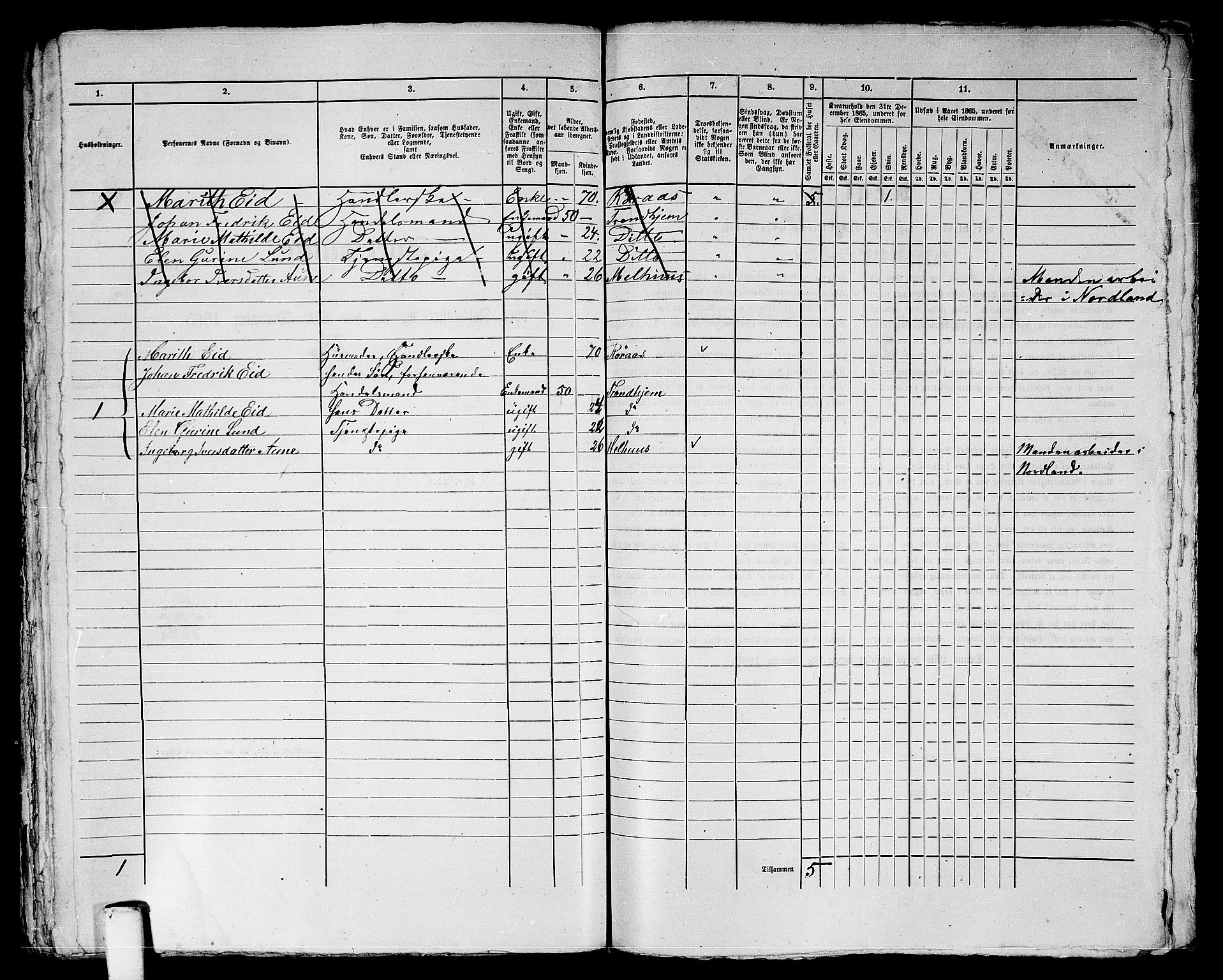 RA, 1865 census for Trondheim, 1865, p. 1494