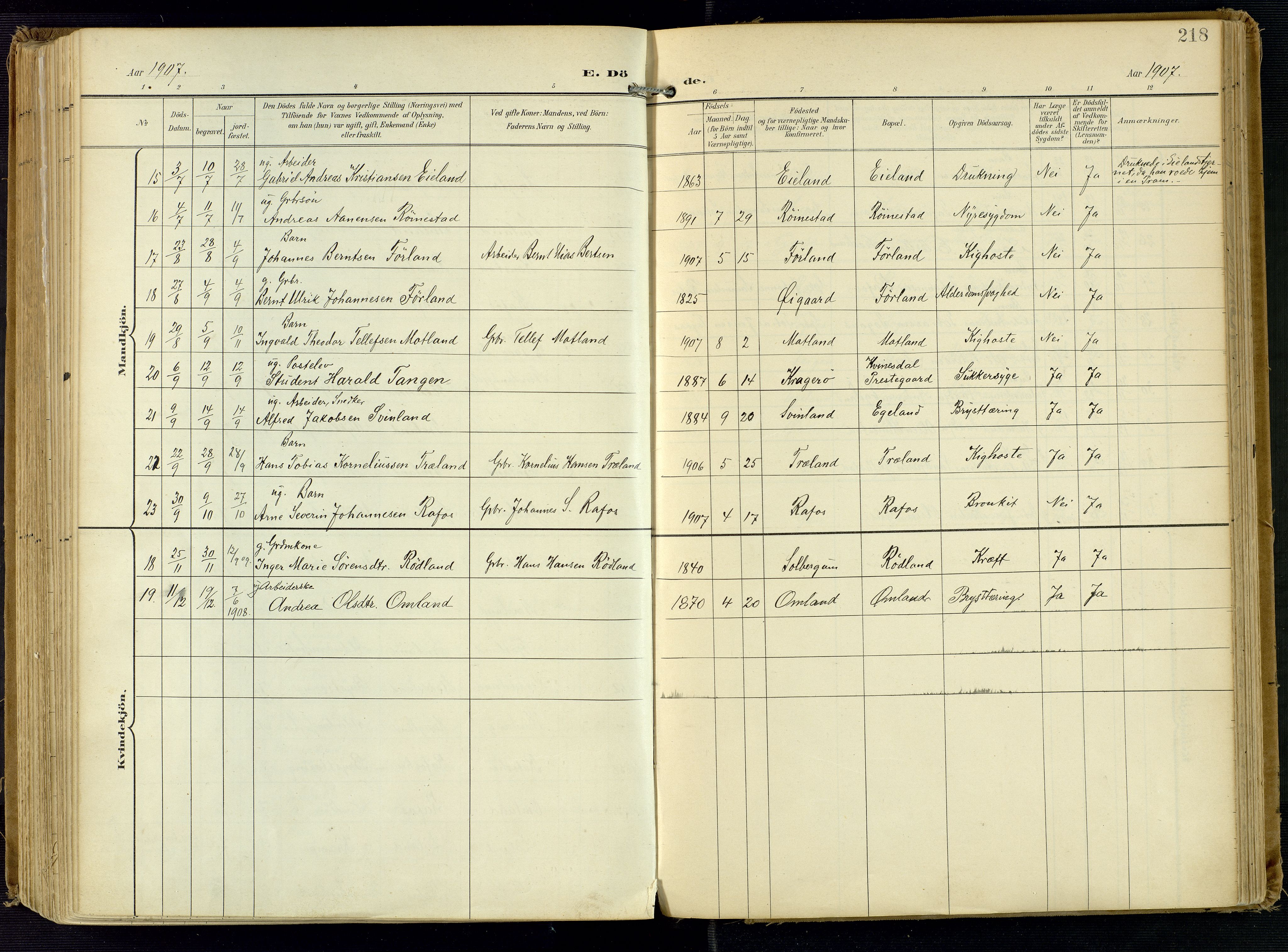 Kvinesdal sokneprestkontor, AV/SAK-1111-0026/F/Fa/Fab/L0009: Parish register (official) no. A 9, 1898-1915, p. 218