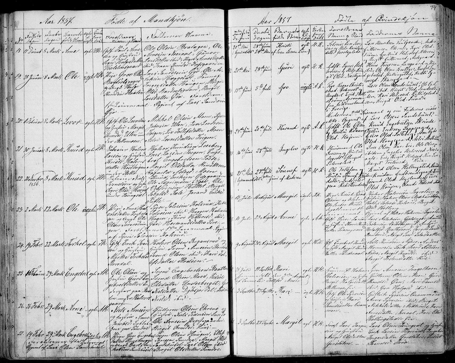 Ål kirkebøker, AV/SAKO-A-249/F/Fa/L0006: Parish register (official) no. I 6, 1849-1864, p. 74