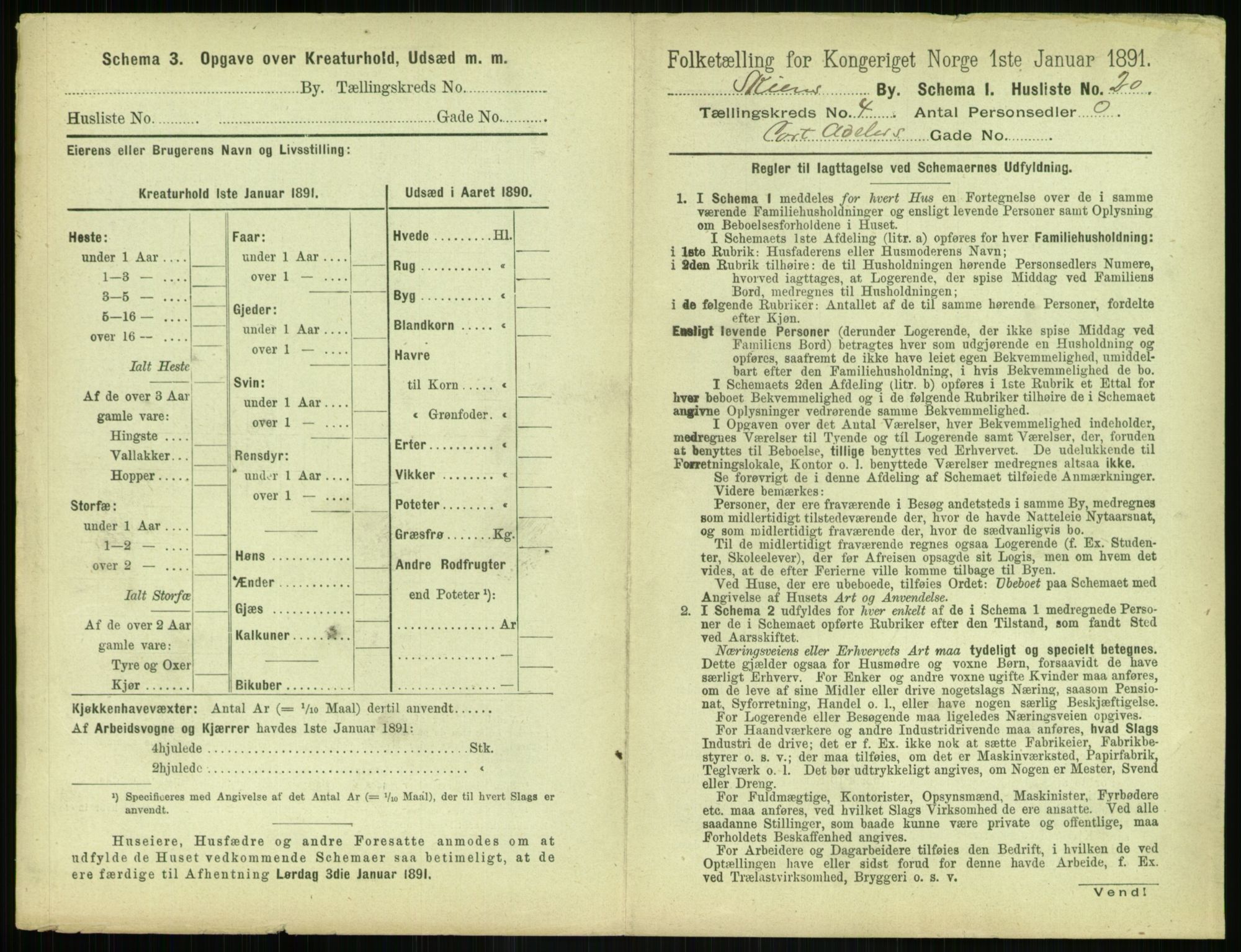 RA, 1891 census for 0806 Skien, 1891, p. 256