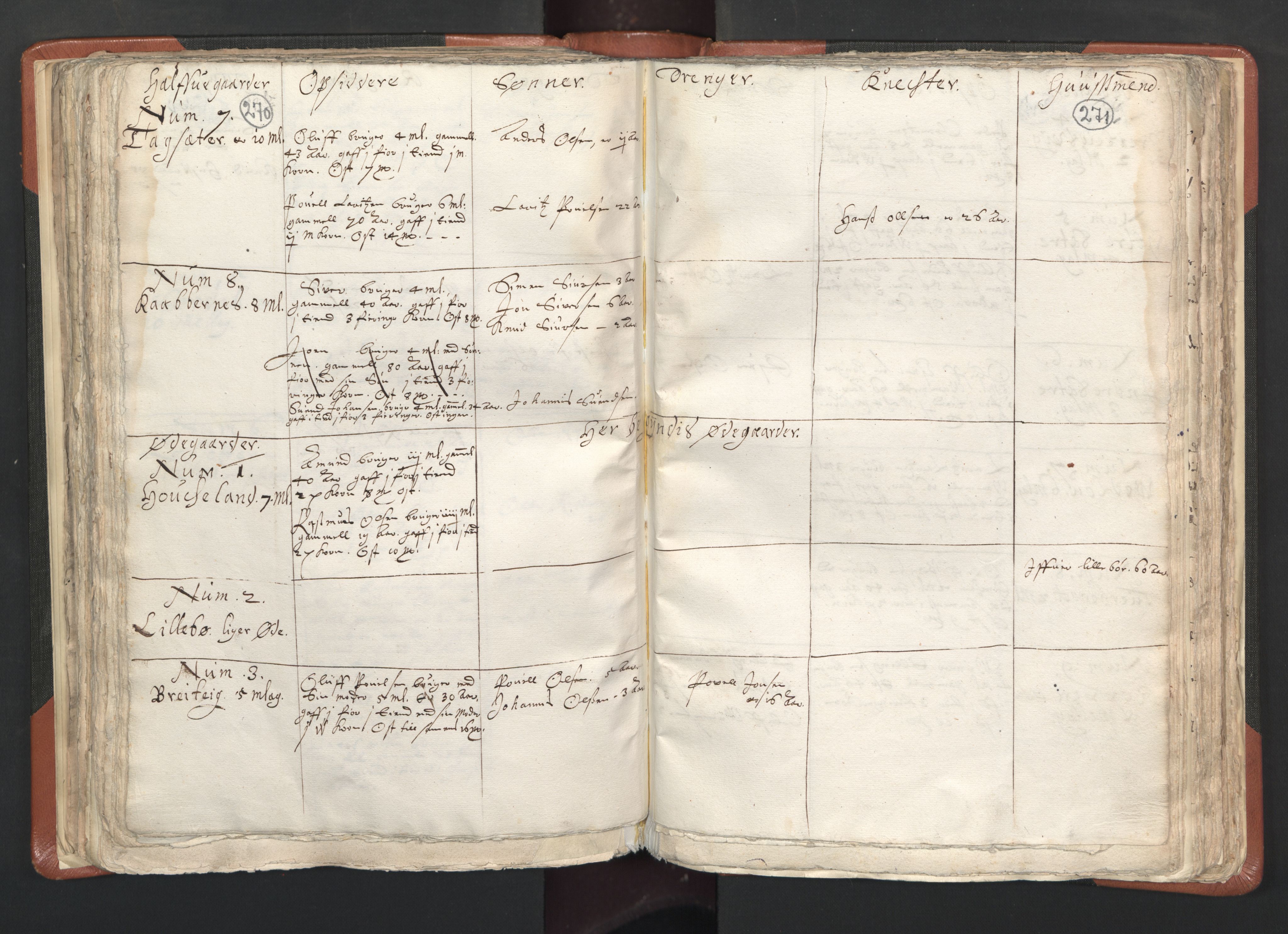 RA, Vicar's Census 1664-1666, no. 26: Sunnmøre deanery, 1664-1666, p. 270-271