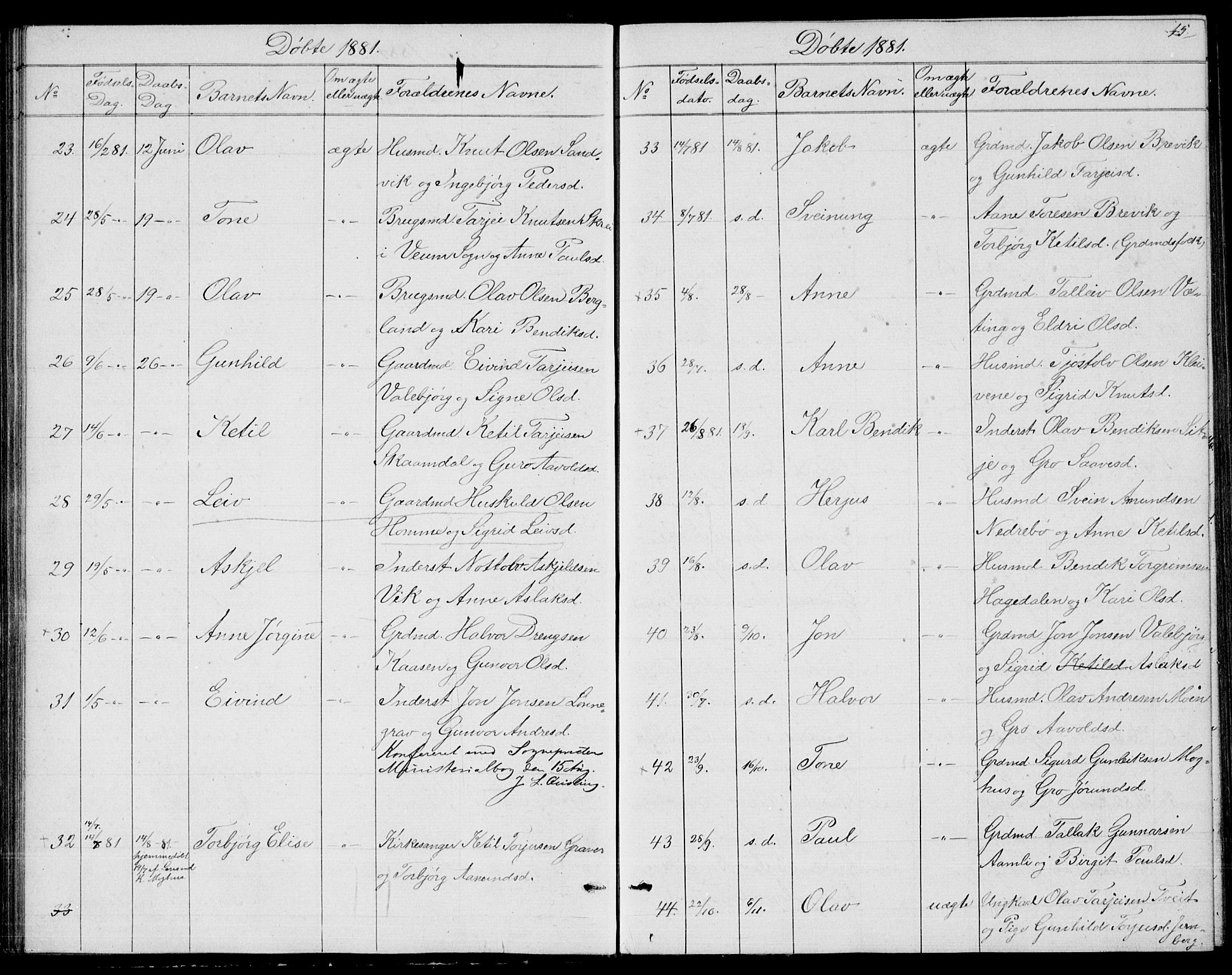 Fyresdal kirkebøker, SAKO/A-263/G/Ga/L0004: Parish register (copy) no. I 4, 1864-1892, p. 45