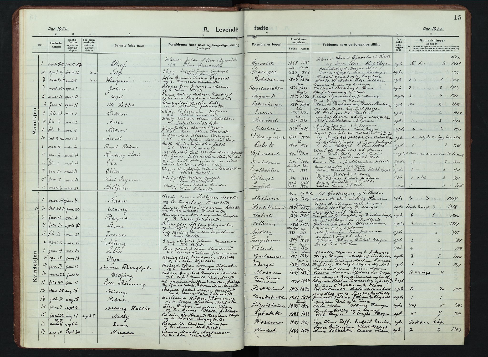 Elverum prestekontor, SAH/PREST-044/H/Ha/Hab/L0011: Parish register (copy) no. 11, 1915-1947, p. 15