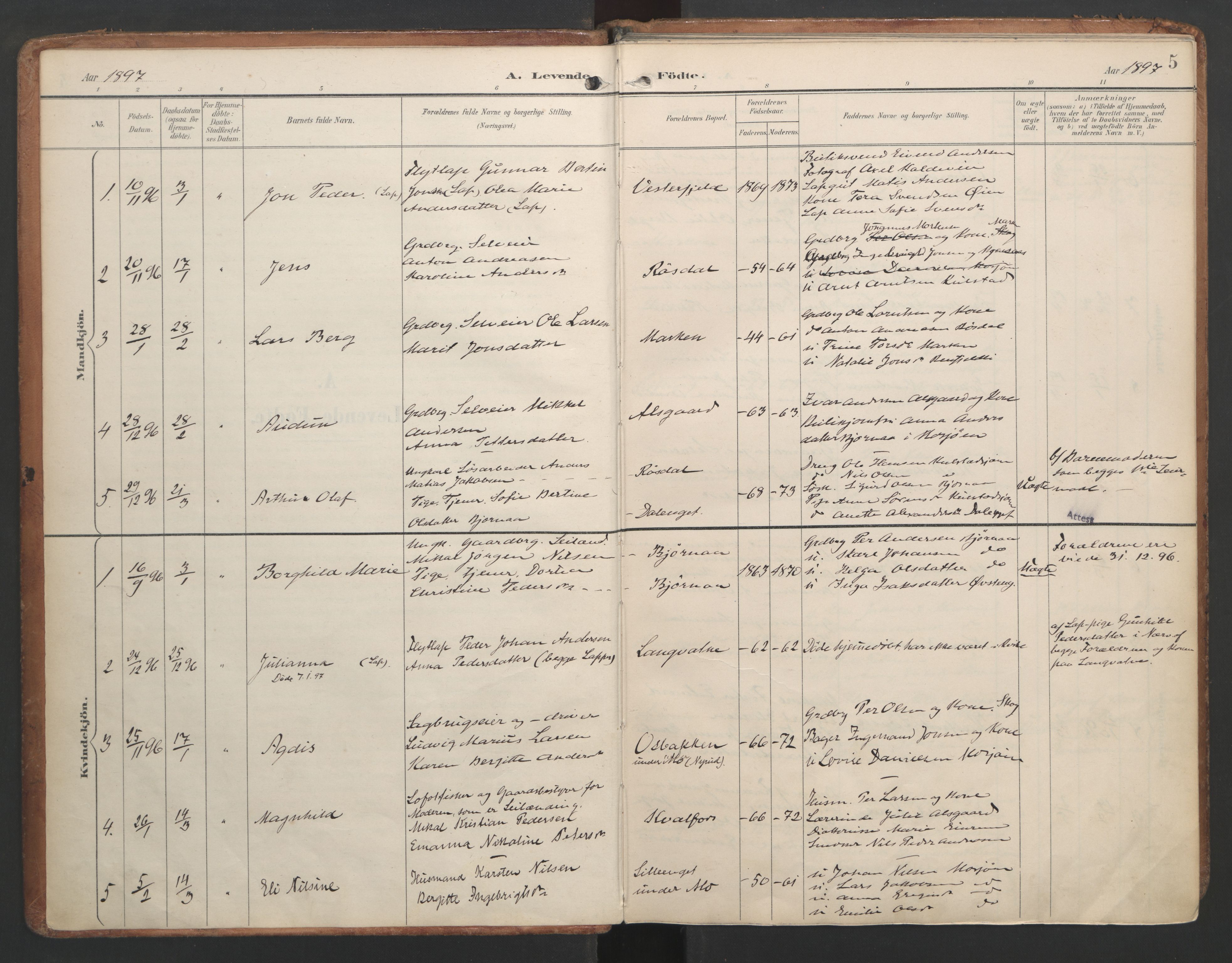 Ministerialprotokoller, klokkerbøker og fødselsregistre - Nordland, SAT/A-1459/820/L0297: Parish register (official) no. 820A18, 1897-1917, p. 5